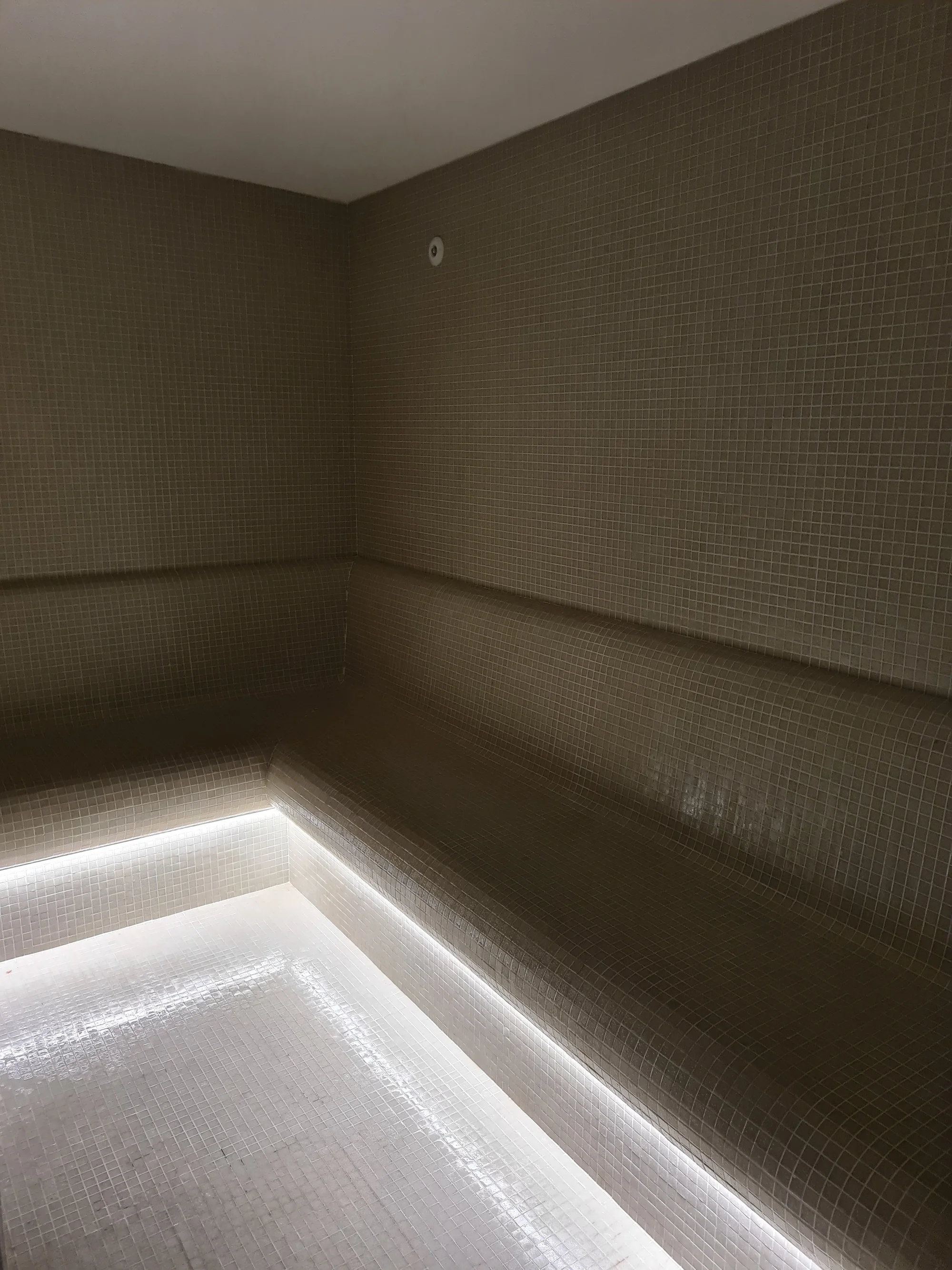 Na 120 minut do veřejného wellness: několik saun, parní kabina, vířivka