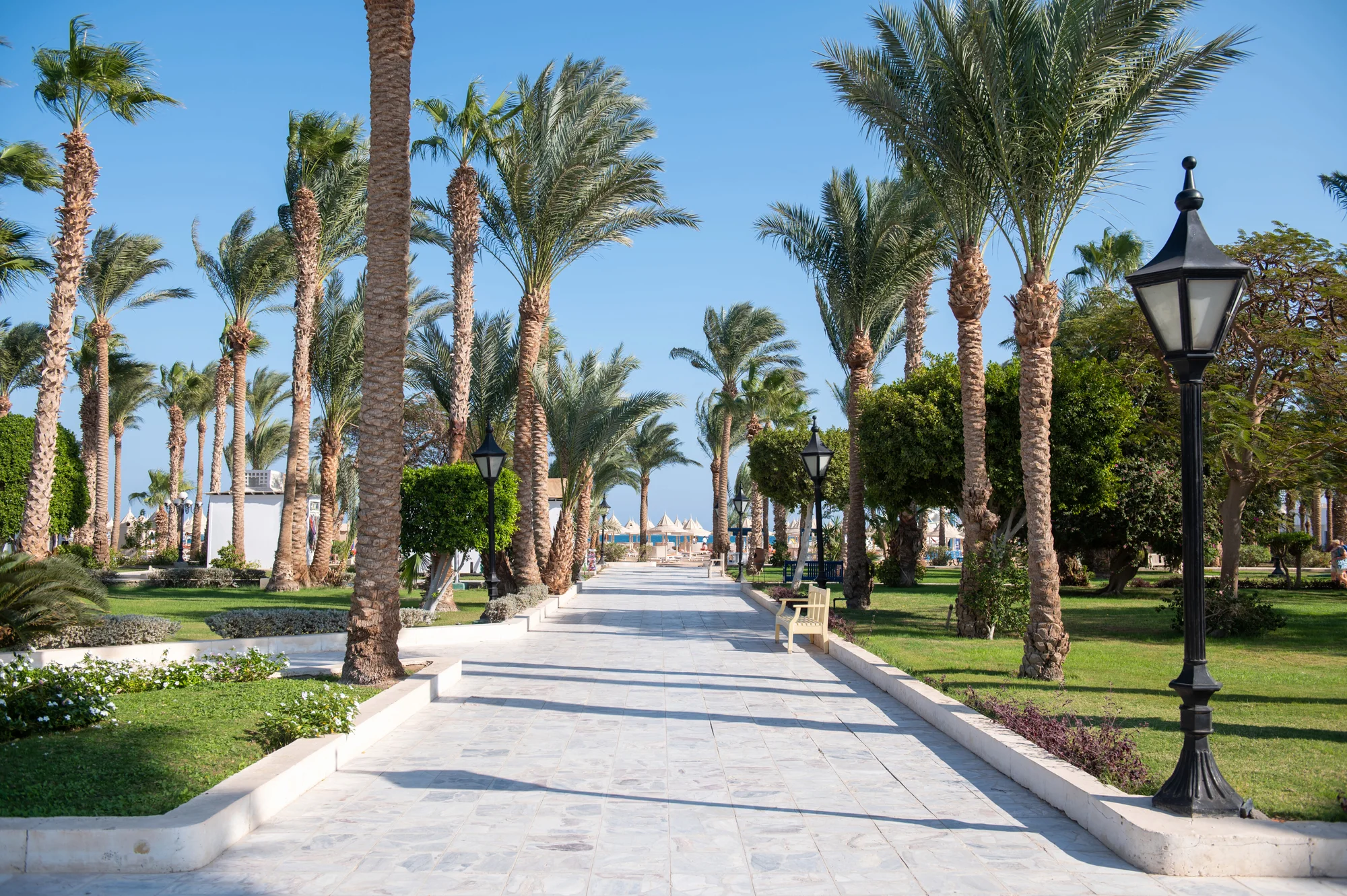 Na 7 nocí letecky do Hurghady: The Grand Hotel***+ přímo u pláže, all inclusive i bazén