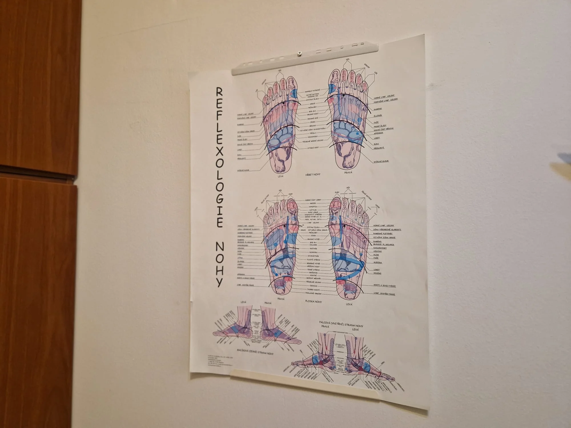 Baňky,masáž zad, šíje, celého těla i komplexní reflexní terapie: 45-105 min. relaxu