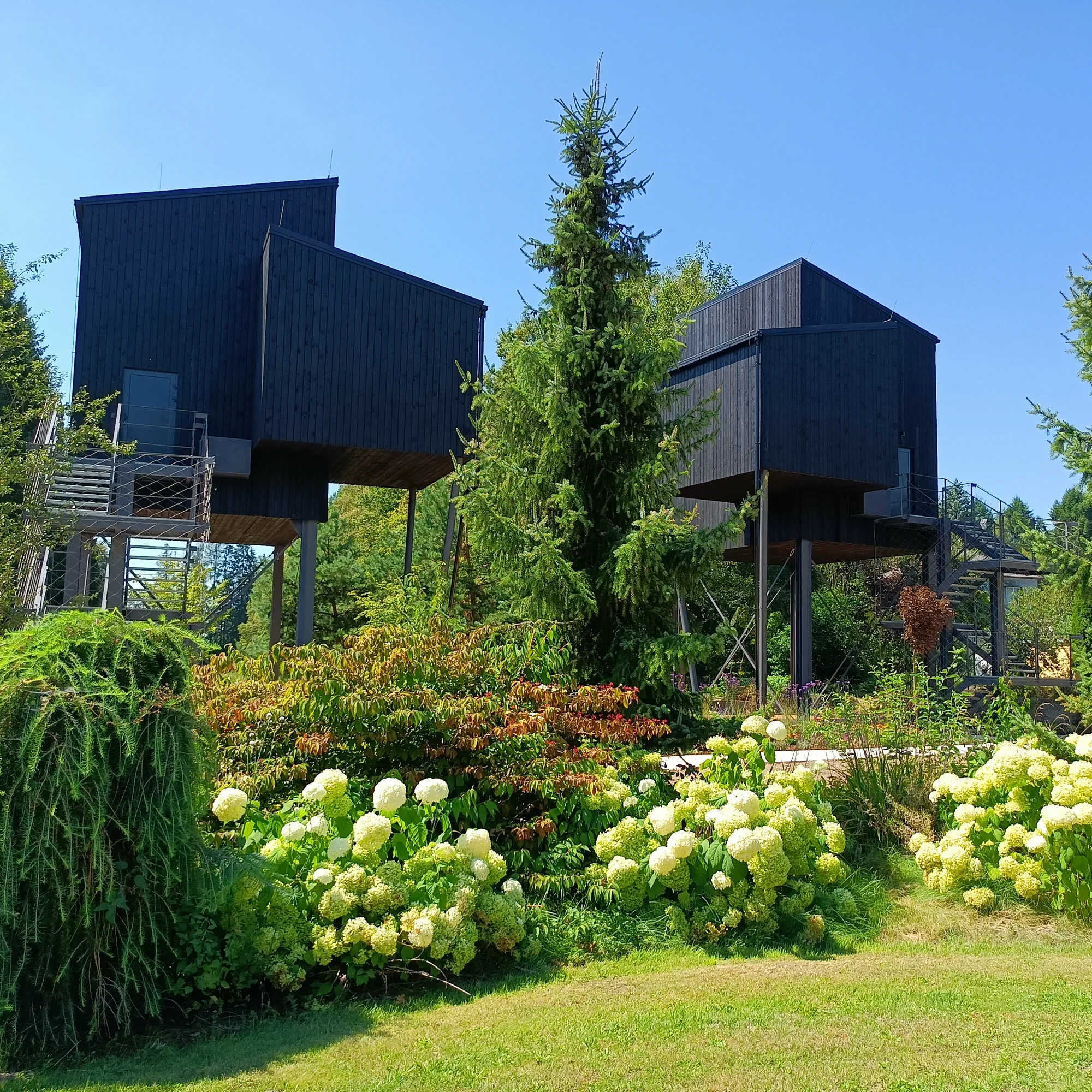 4* Resort Johanka či treehouse na Vysočině: polopenze, vířivka, sauna a dřevěné sudy