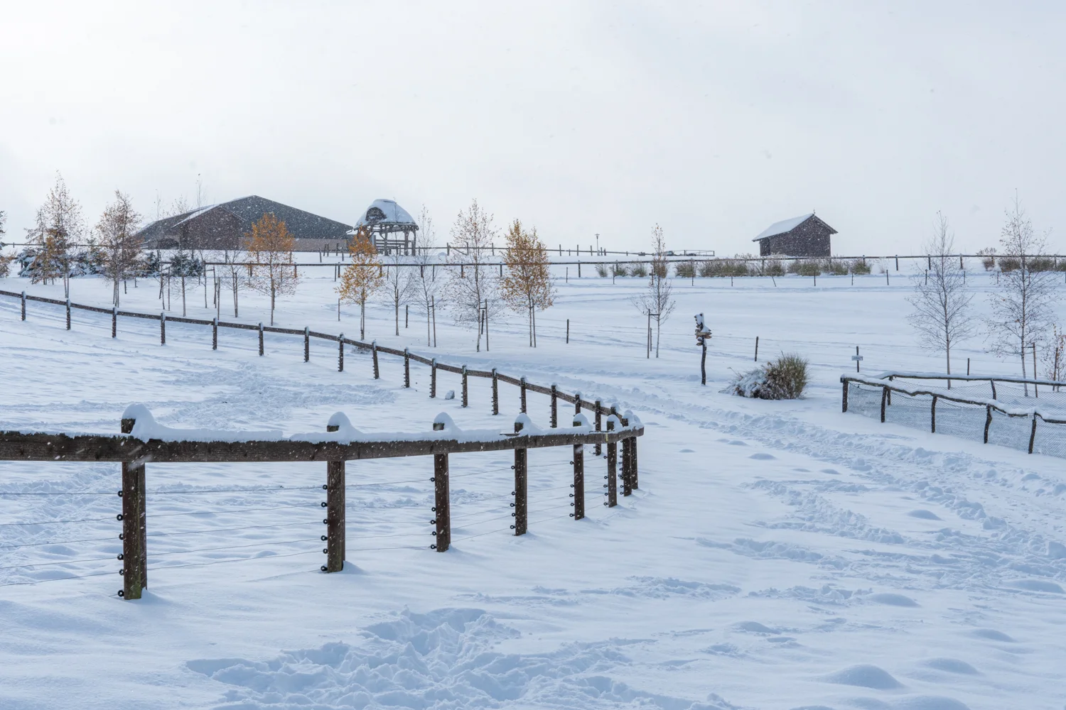 Zimní vstupenky do Farmaparku Soběhrdy pro jednotlivce i rodiny