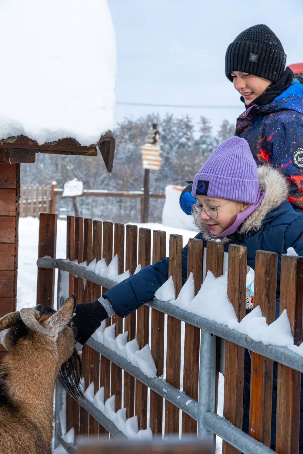 Zimní vstupenky do Farmaparku Soběhrdy pro jednotlivce i rodiny