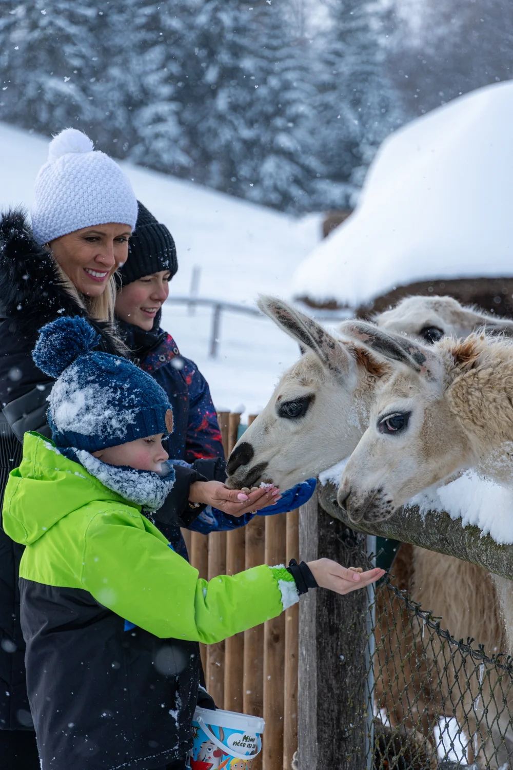 Zimní vstupenky do Farmaparku Soběhrdy pro jednotlivce i rodiny