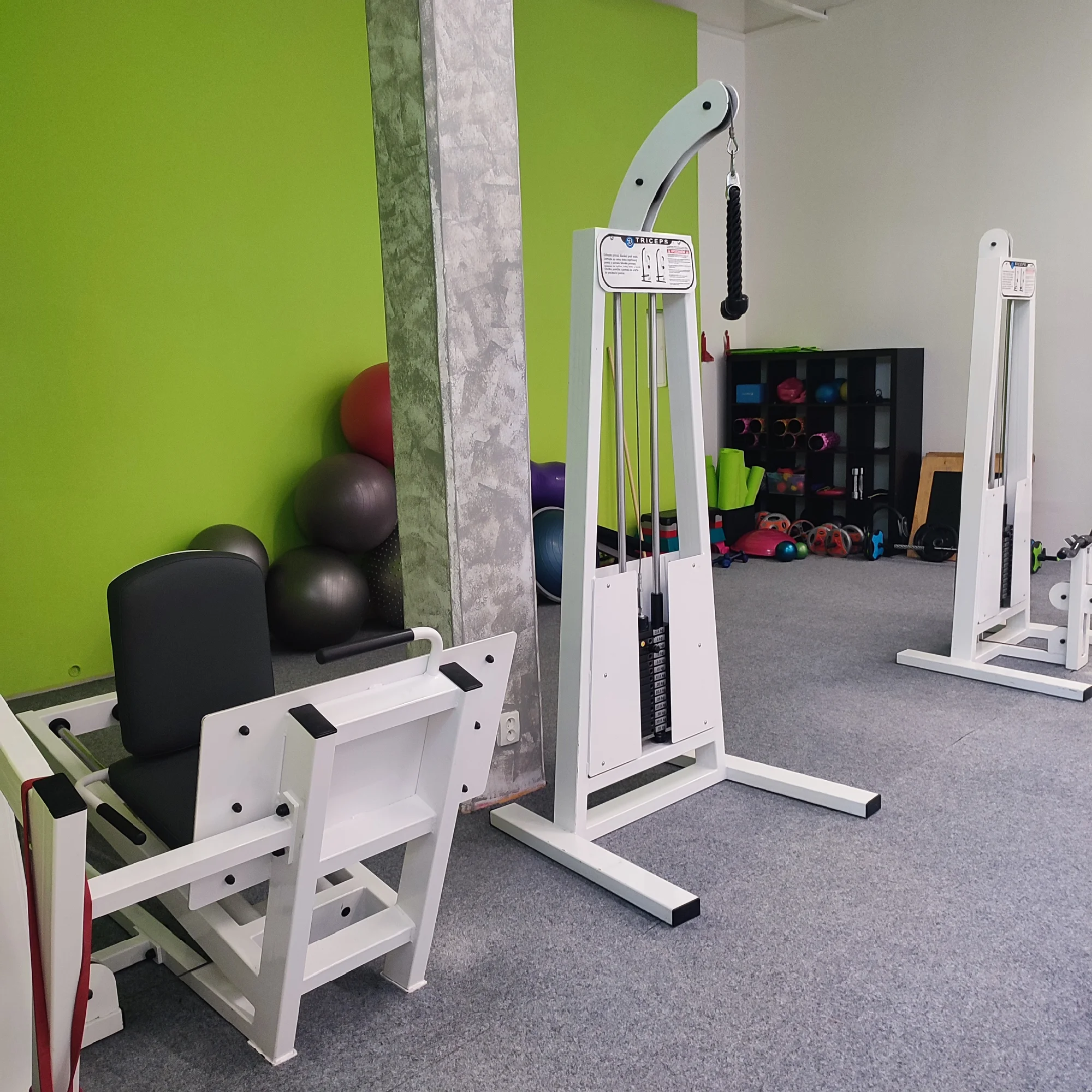 10 vstupů do tělocvičny pro ženy: lekce pro štíhlý pas, pilates, kruháč i posilovna
