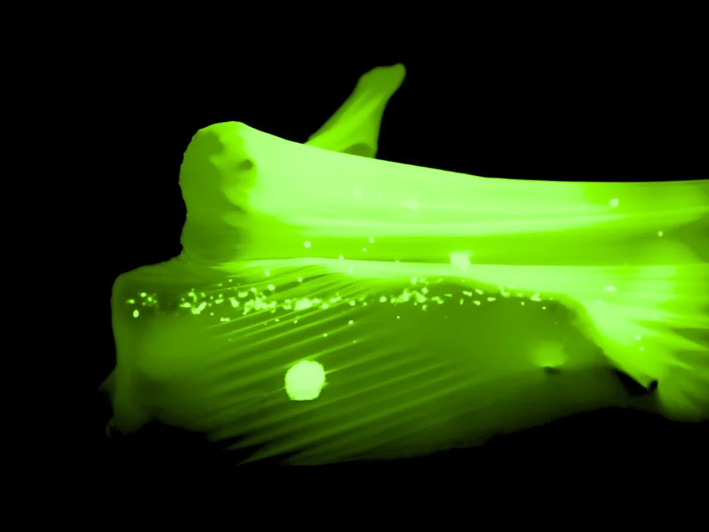 Images of Love - láska v černém divadle s hity od Shakiry, Stinga nebo Coldplay