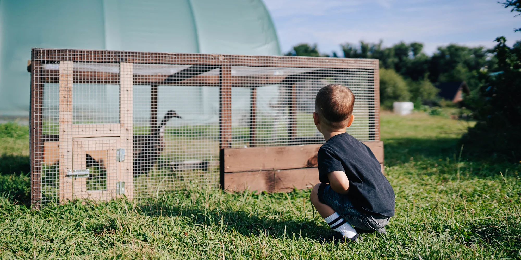 Jedlý park na Šumavě: komentovaná procházka pro 2-10 lidí, krmení zvířat, návštěva ohrad i limonáda