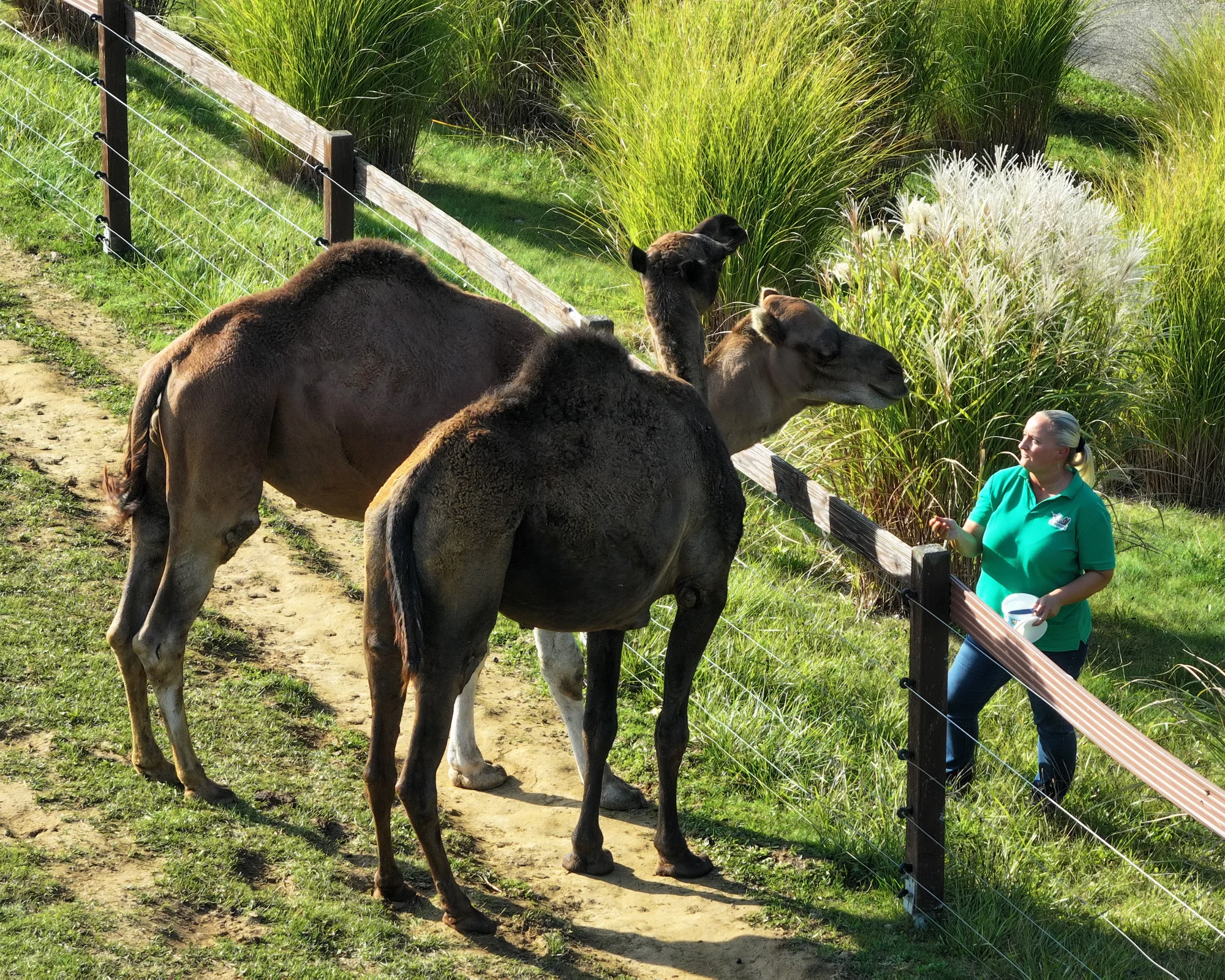 Zimní vstupenky do Farmaparku Soběhrdy pro jednotlivce i rodiny