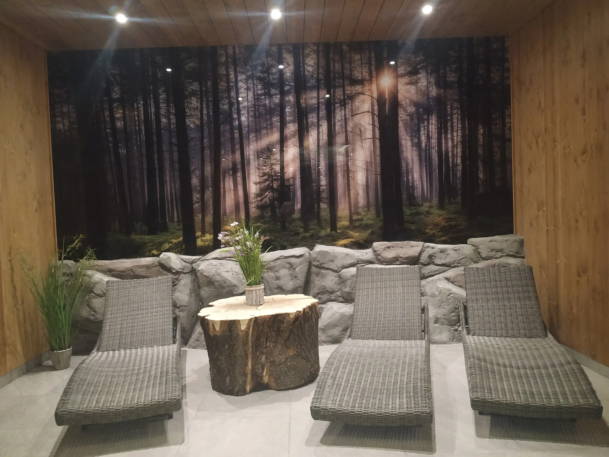 Relax u lázní Terma Bania a Zakopaného: neomezený wellness, možnost vstupu do lázní