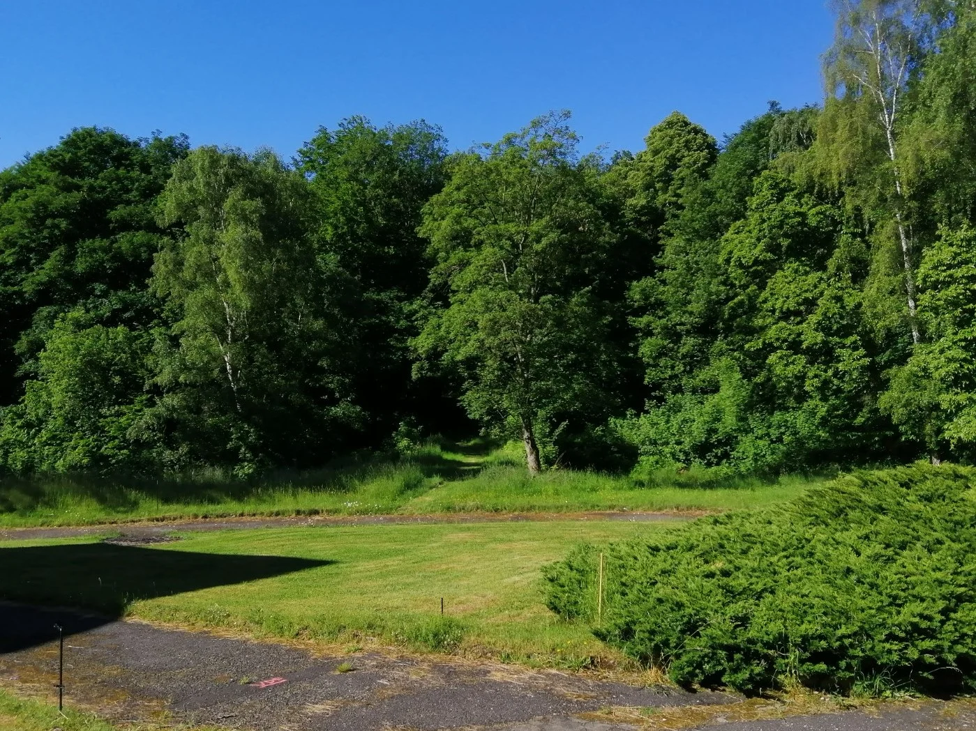 Relax pod Krušnými horami: polopenze, konopné procedury i wellness