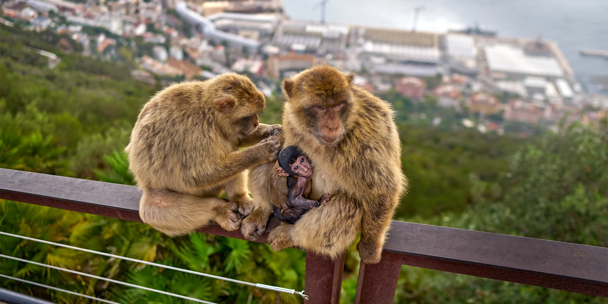 Pětidenní zájezdy do Španělska: Malaga, Gibraltar i Ronda, letecky z Prahy či Vídně