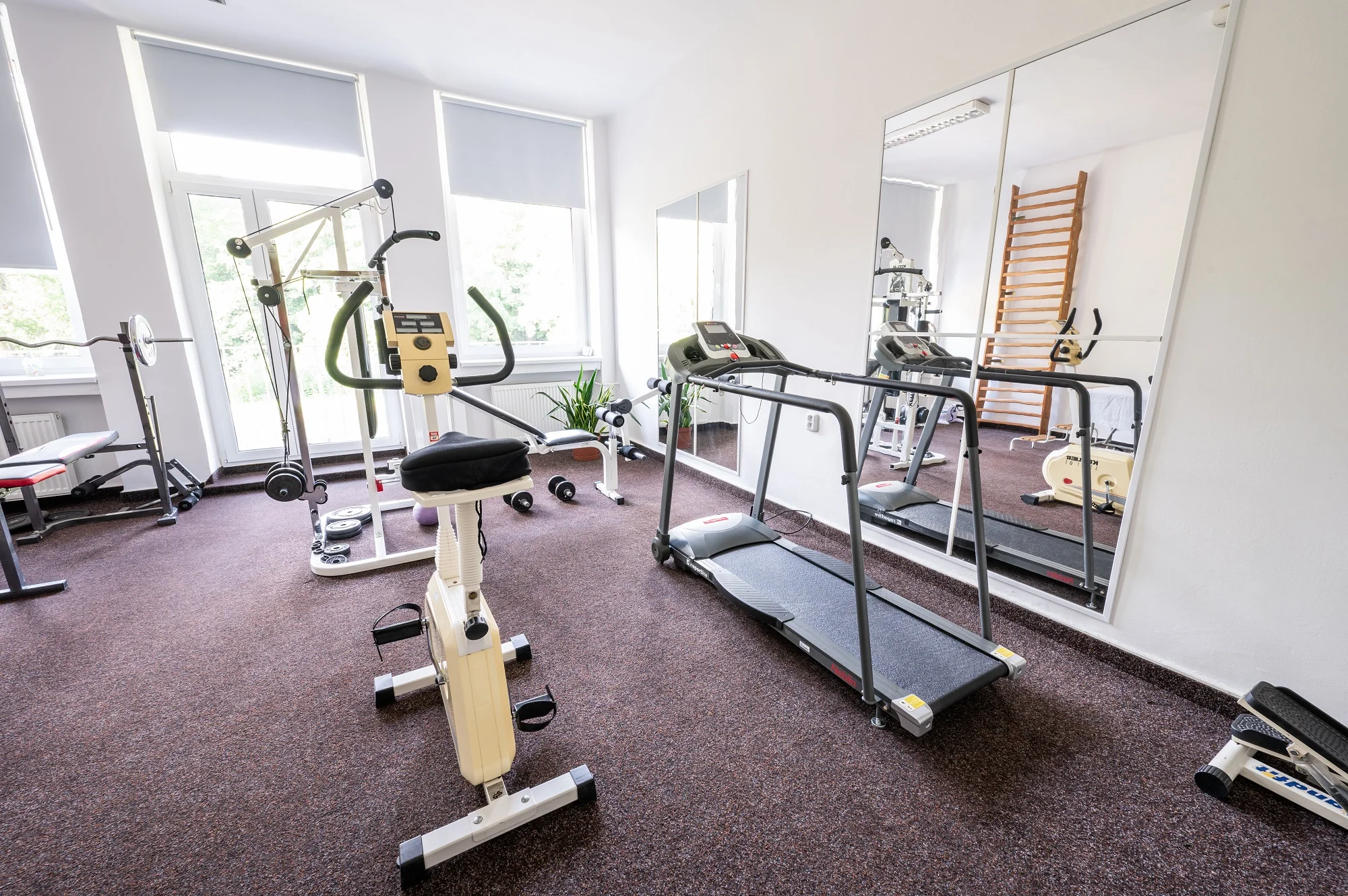Relax pod Krušnými horami: polopenze, konopné procedury i wellness