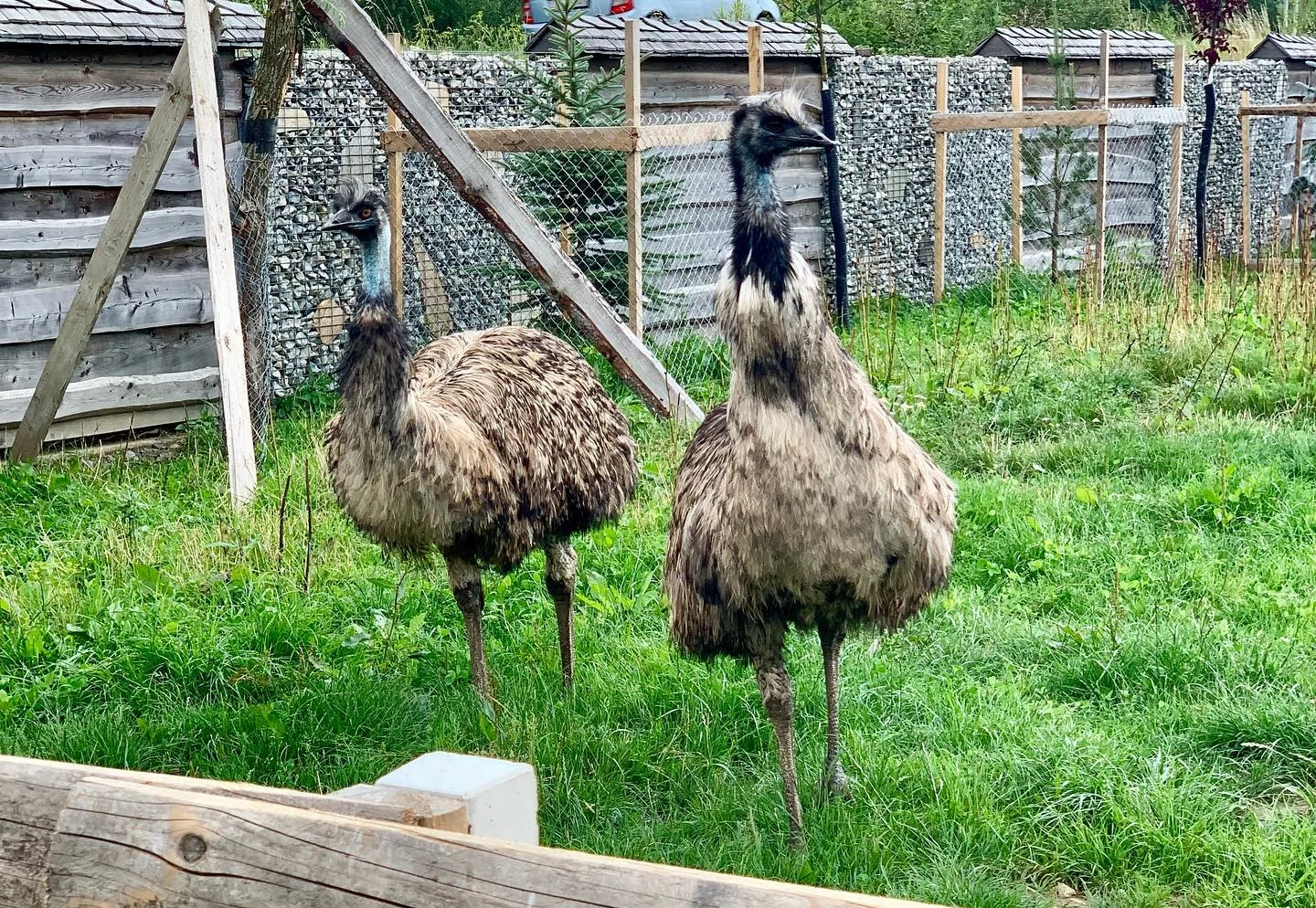 Srubové chatky na Oravě pro pár i rodinu: polopenze, wellness a mini zoo