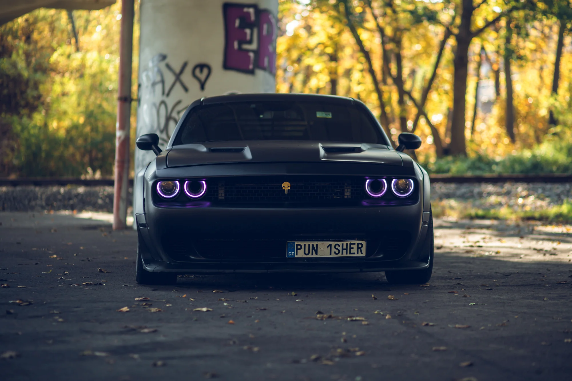 Dodge Challenger 5,7 V8 Punisher: spolujízda, řízení i pronájem