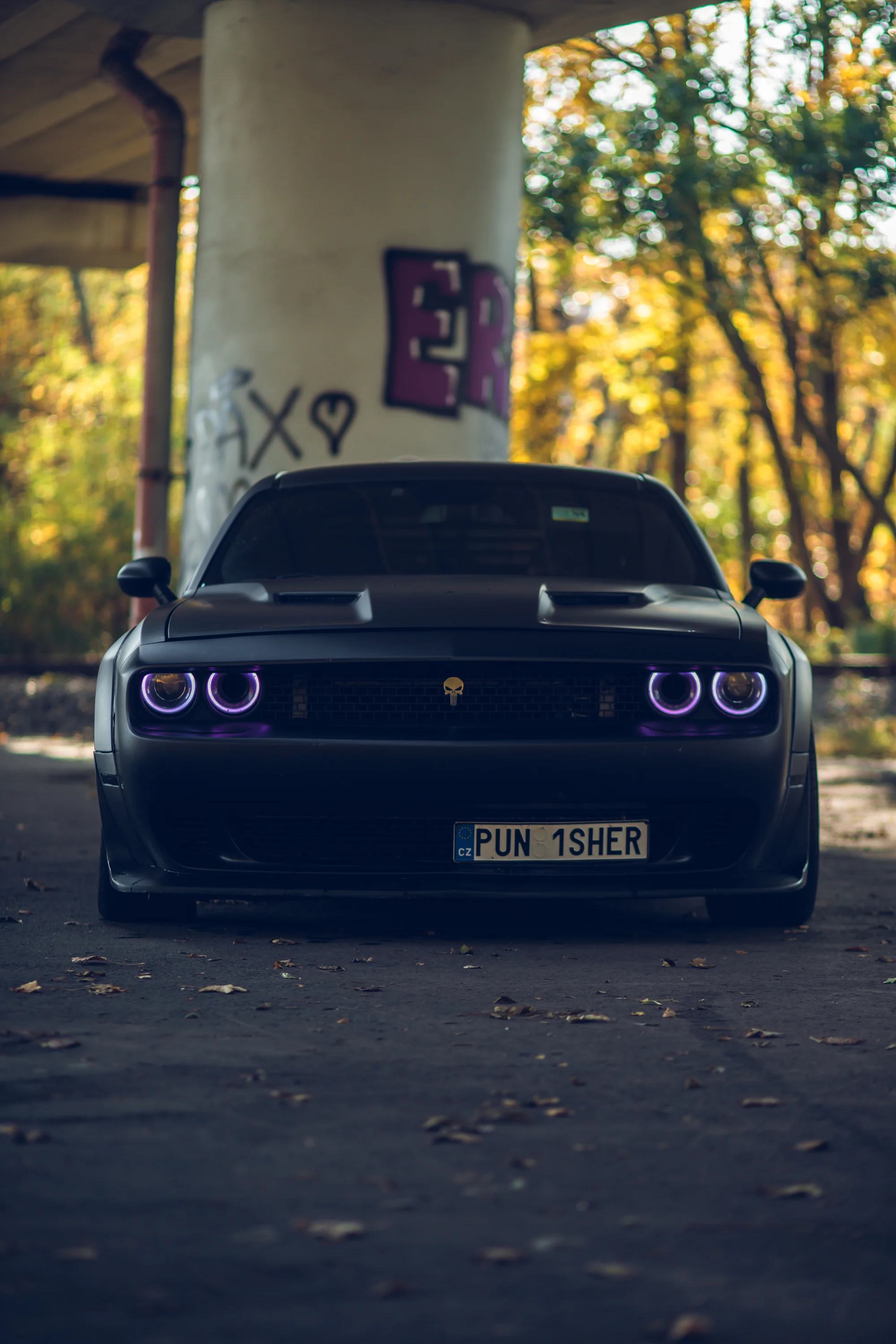Dodge Challenger 5,7 V8 Punisher: spolujízda, řízení i pronájem
