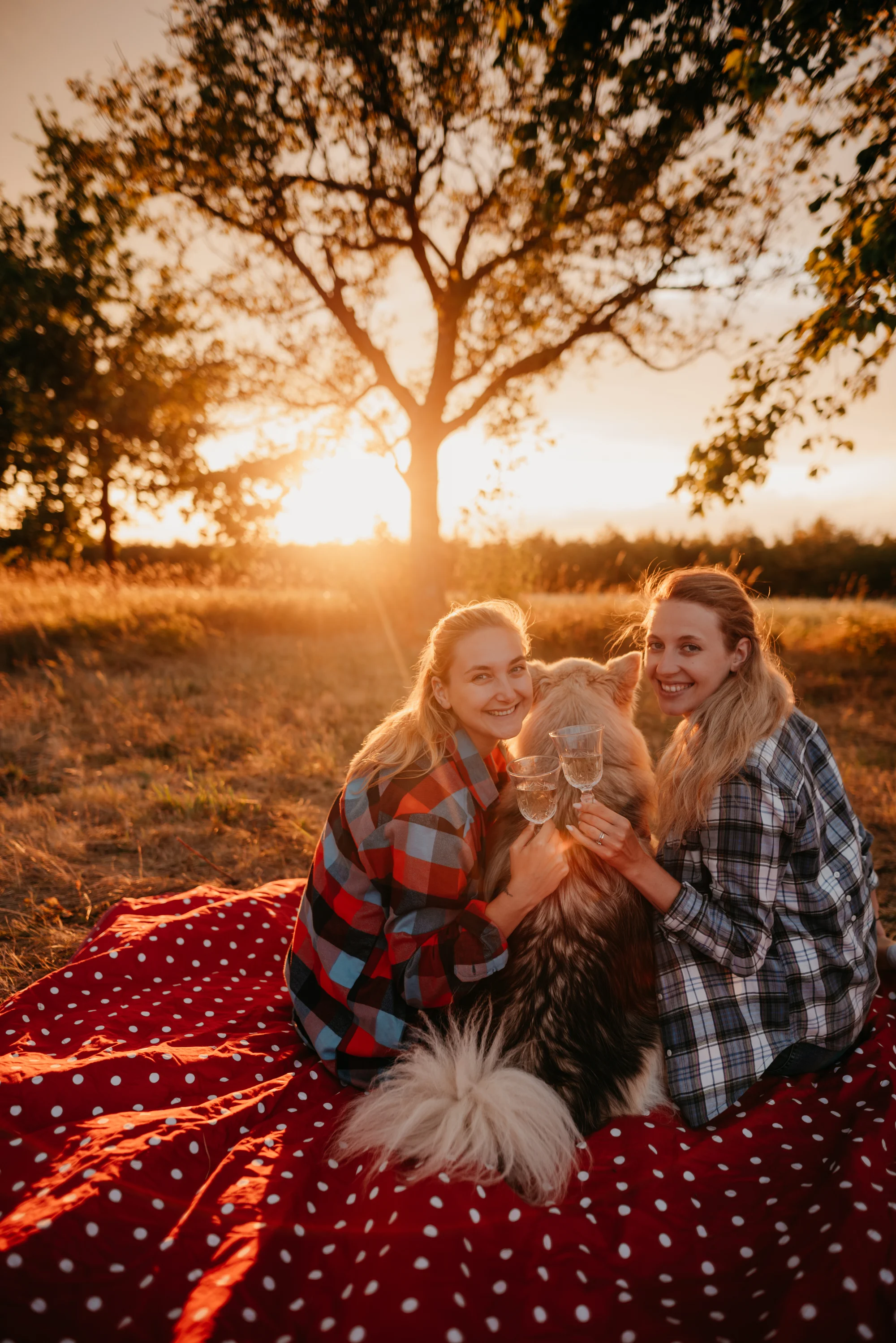 Glamping ve Velkých Pavlovicích přímo u vinice s výhledem na Pálavu