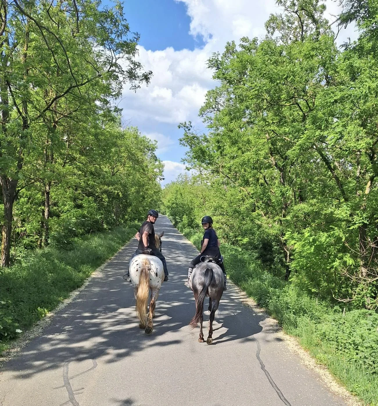 Horse Farm Lechovice: hodinová romantická projížďka v kočáře pro partu až 5 osob