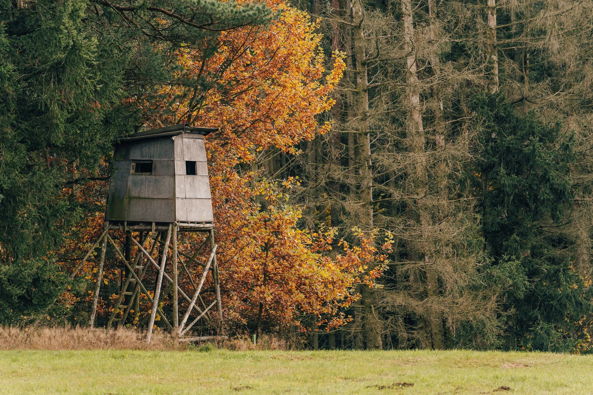 Vybavený tiny house uprostřed přírody s venkovním posezením