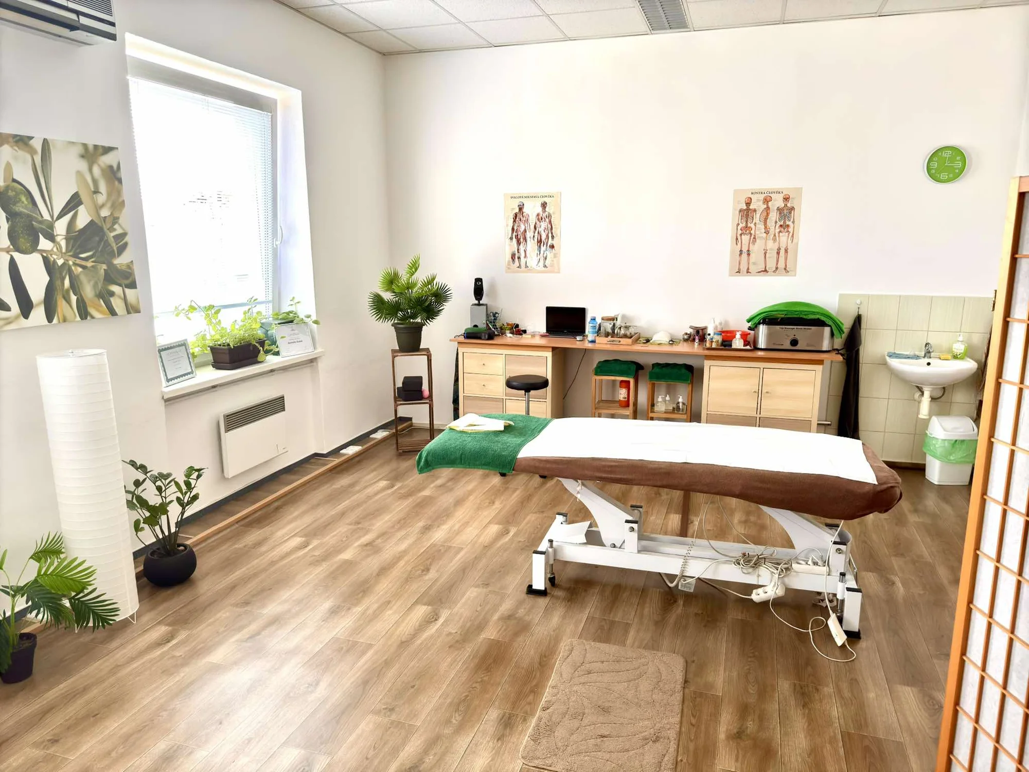 Antické masáže dle výběru v délce 50 minut: znovuzrození v každém doteku