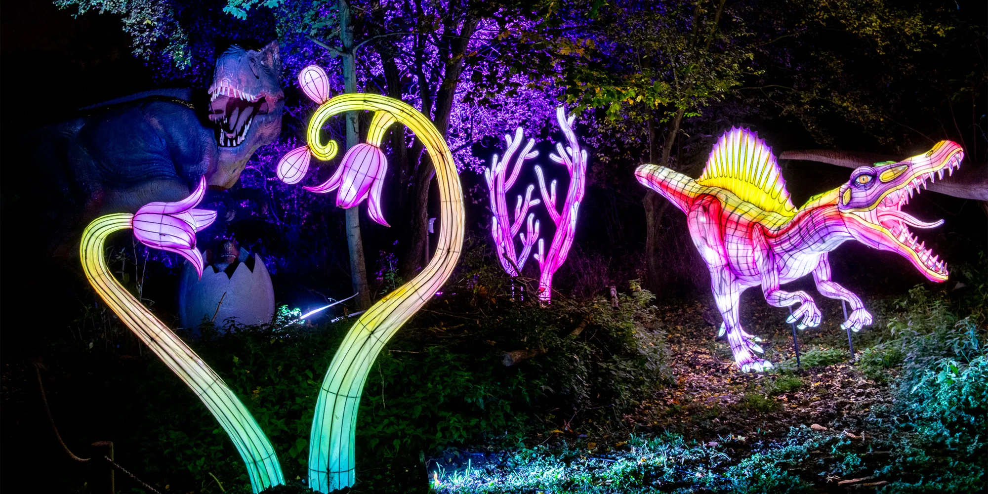 Světelný park Světla času od DinoLive a Lumina Parku