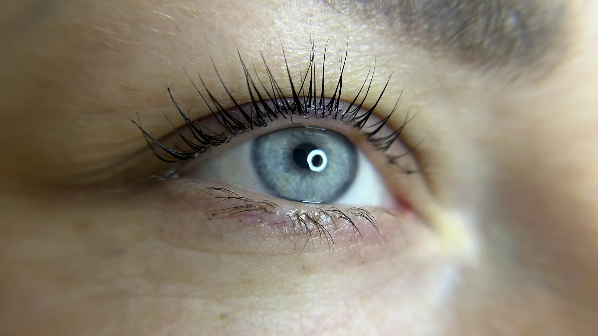Krásná hned po probuzení: laminace obočí i lash filler