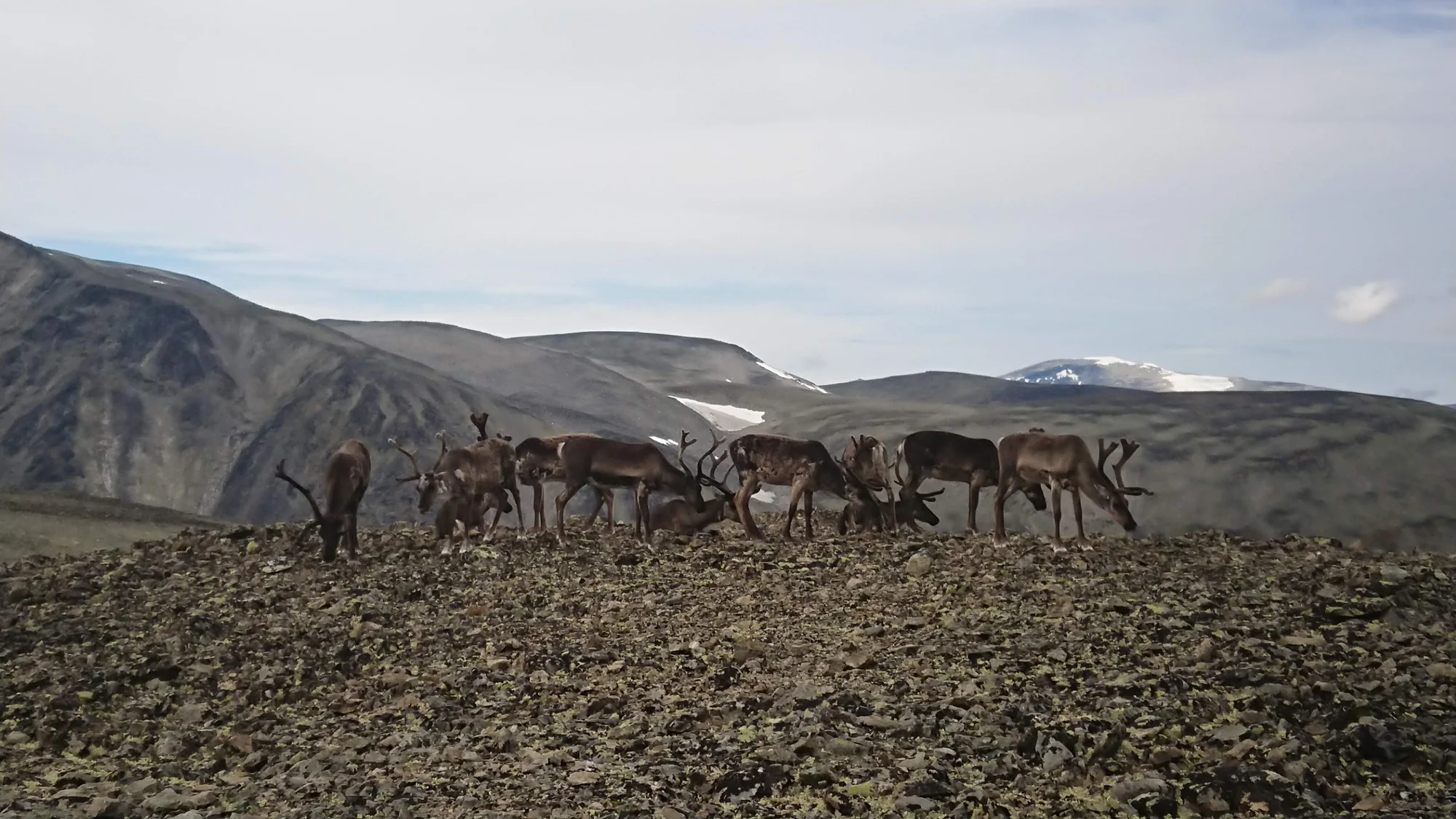 Do Norska za přírodou a papuchalky: kempování ve vlastním stanu nebo chatce, doprava busem