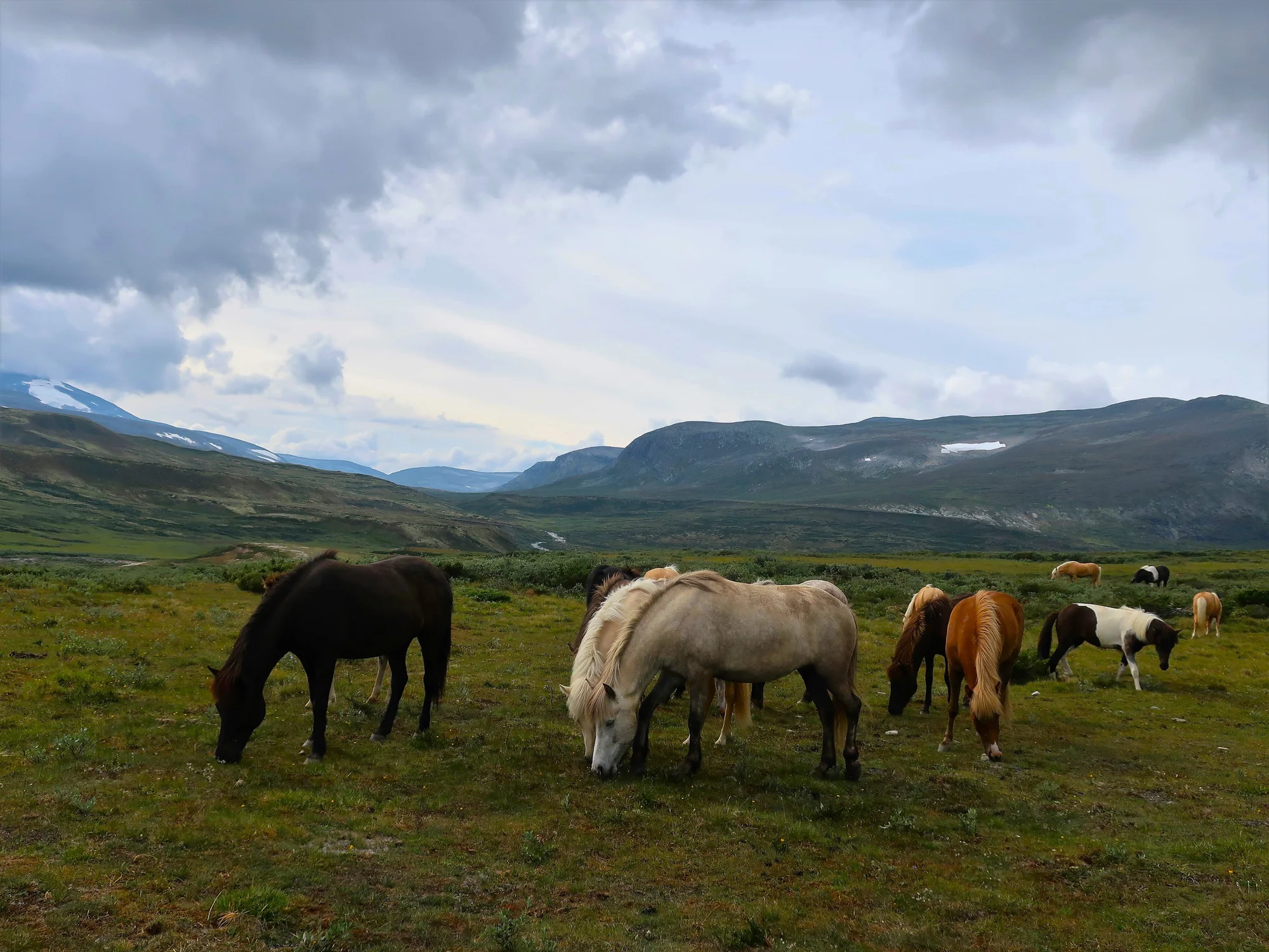 Do Norska za přírodou a papuchalky: kempování ve vlastním stanu nebo chatce, doprava busem