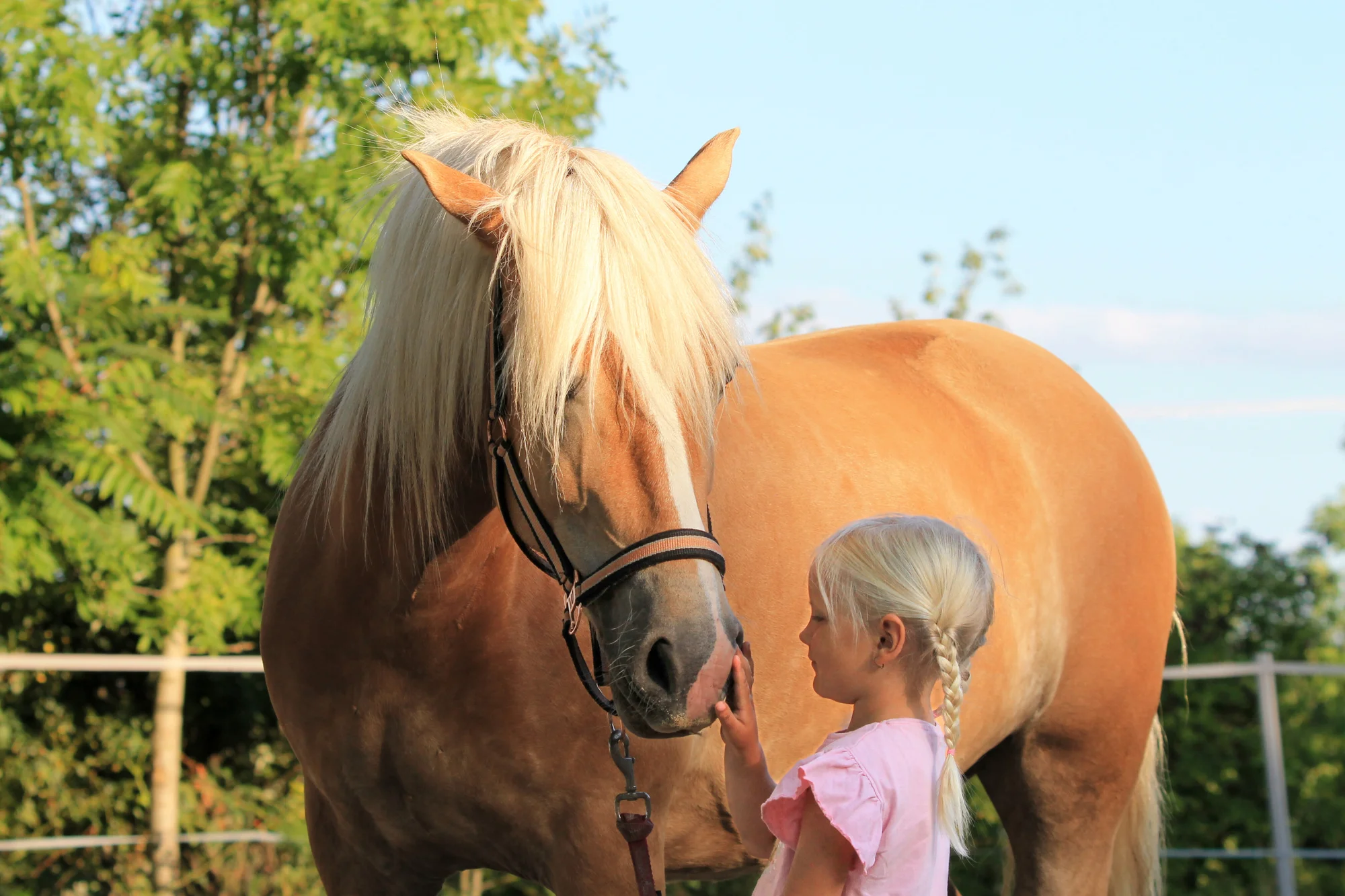 Komentovaná prohlídka pštrosí farmy, mazlení se zvířátky, krmení i procházka
