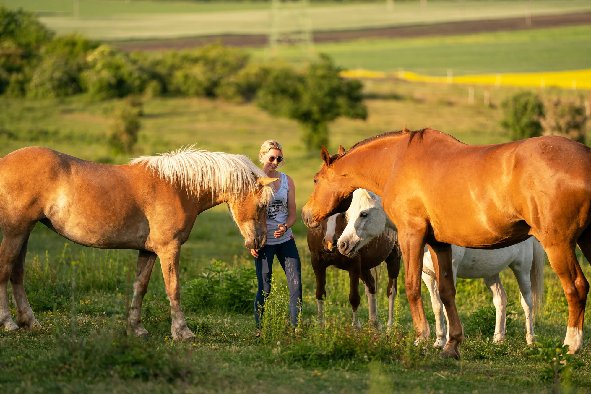 Komentovaná prohlídka pštrosí farmy, mazlení se zvířátky, krmení i procházka