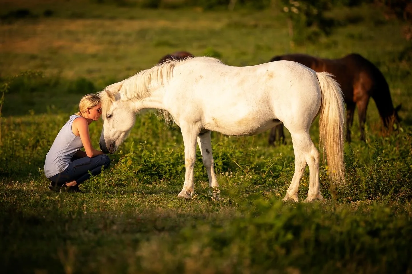 Komentovaná prohlídka pštrosí farmy, mazlení se zvířátky, krmení i procházka