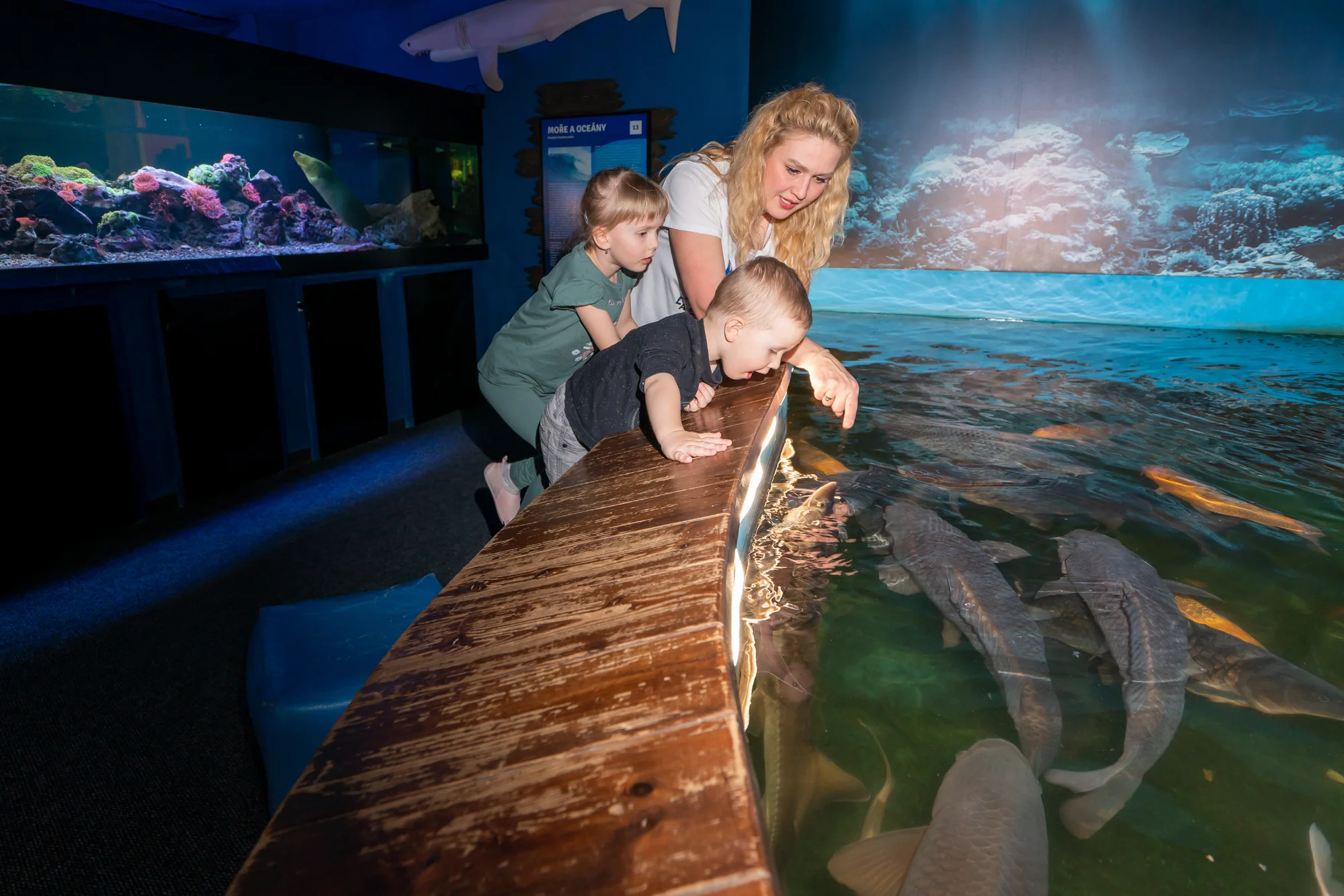 Wellness hotel na Lipně: snídaně a neomezeně obří aquapark a saunový svět