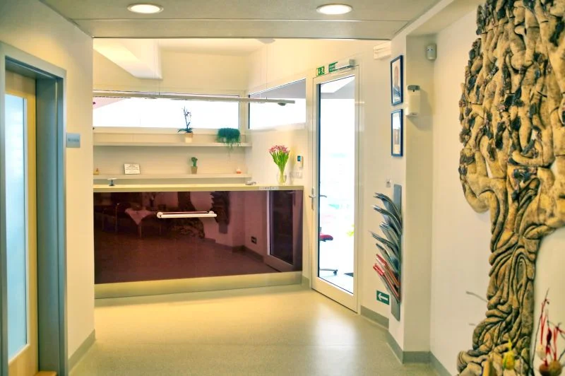 Důkladná dentální hygiena pro děti i dospělé