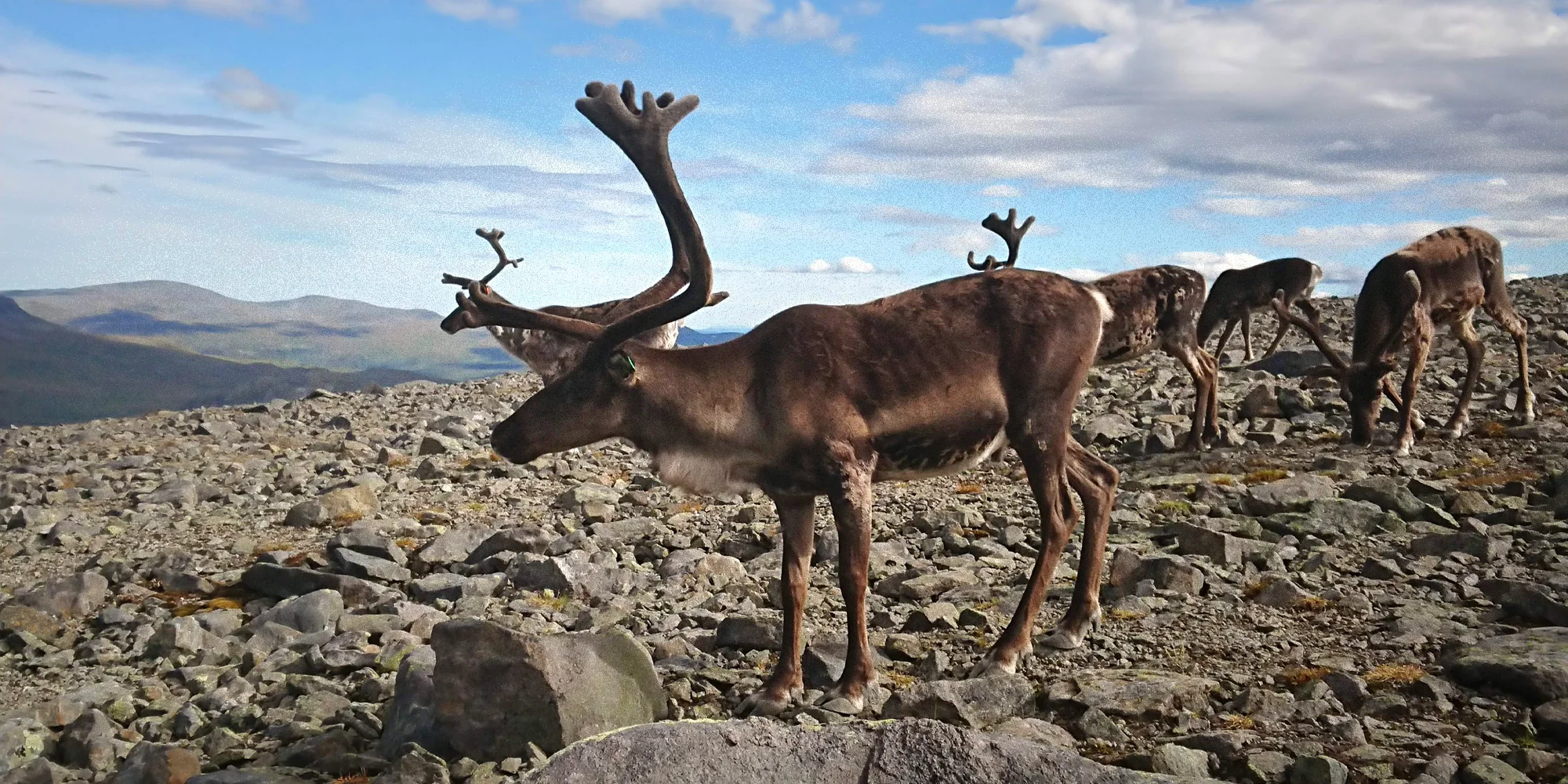 Do Norska za přírodou a papuchalky: kempování ve vlastním stanu nebo chatce, doprava busem