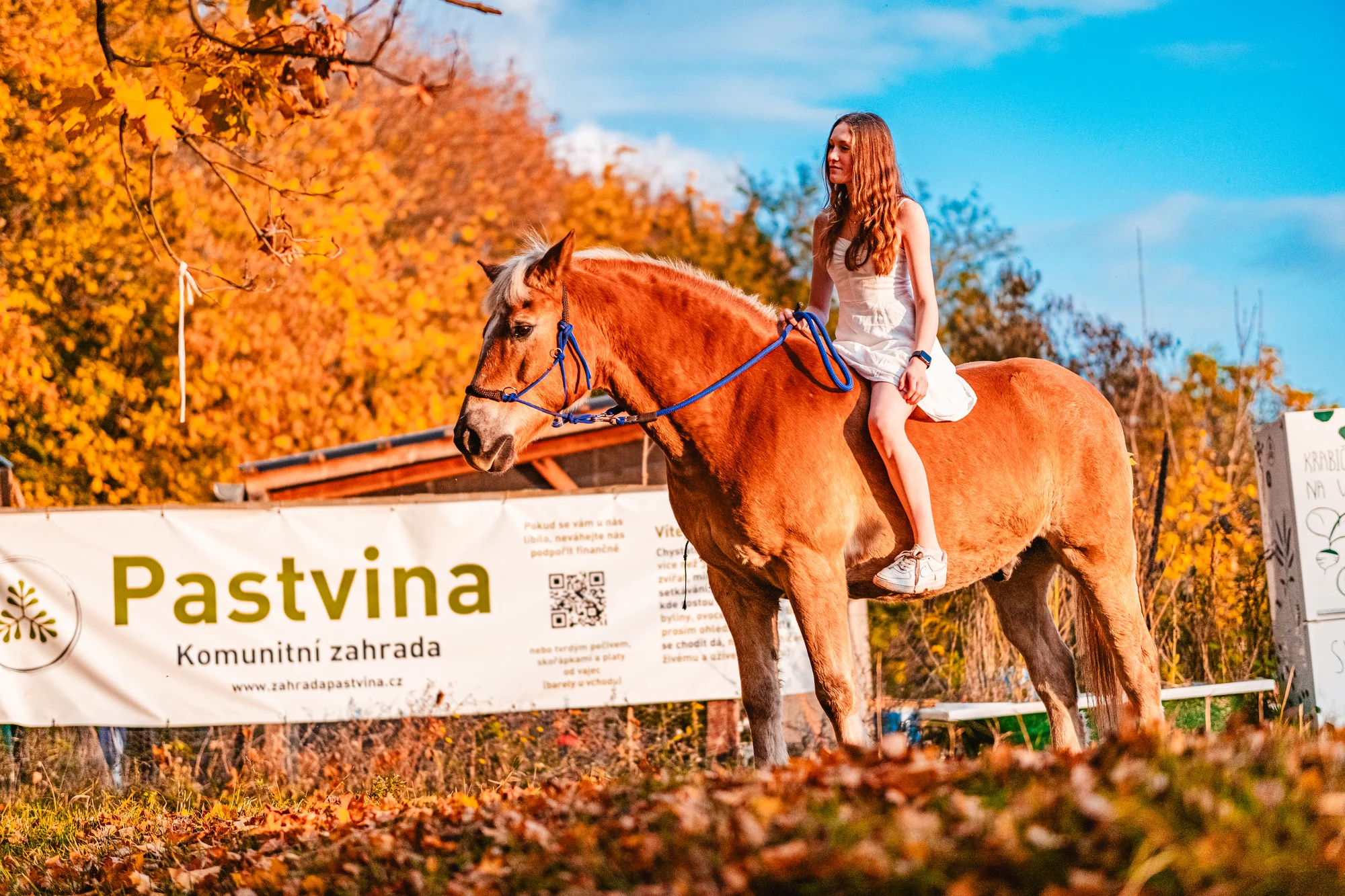 Projížďka malotraktorem i vepří nebo kraví terapie na farmě a komunitní zahradě Pastvina