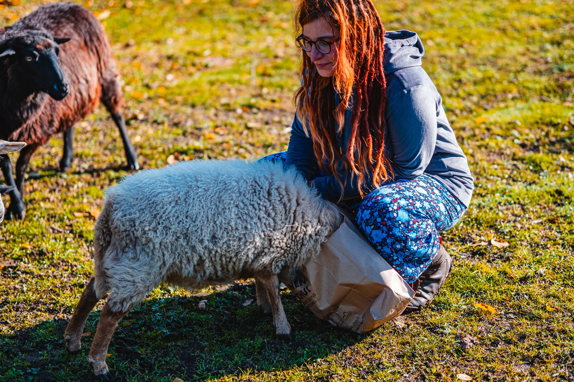 Projížďka malotraktorem i vepří nebo kraví terapie na farmě a komunitní zahradě Pastvina