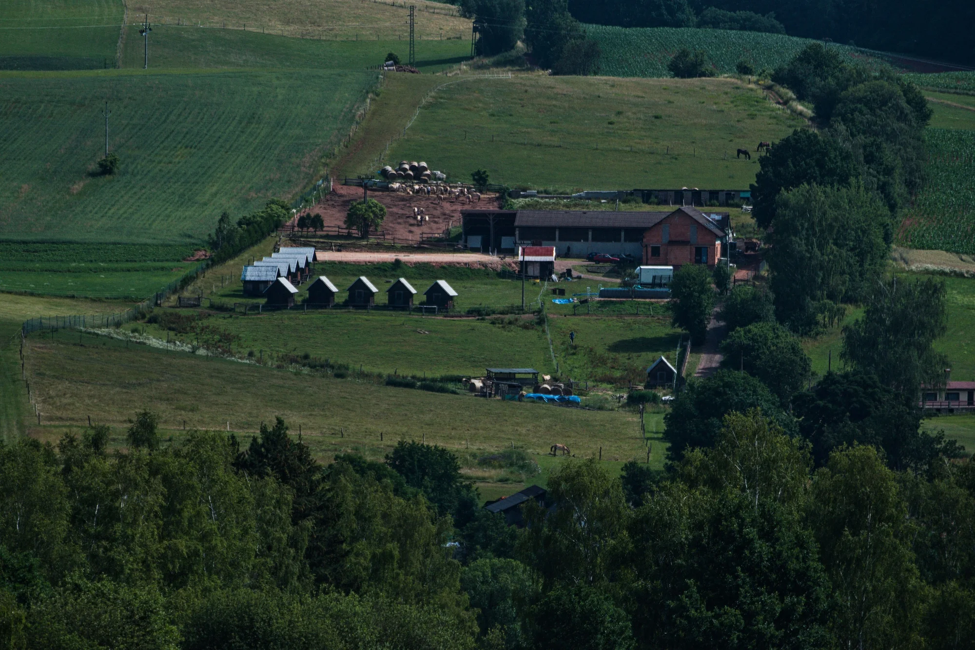 Vyjížďka na fjordském koni pro jednoho i pár: 60 minut, zapůjčení vybavení