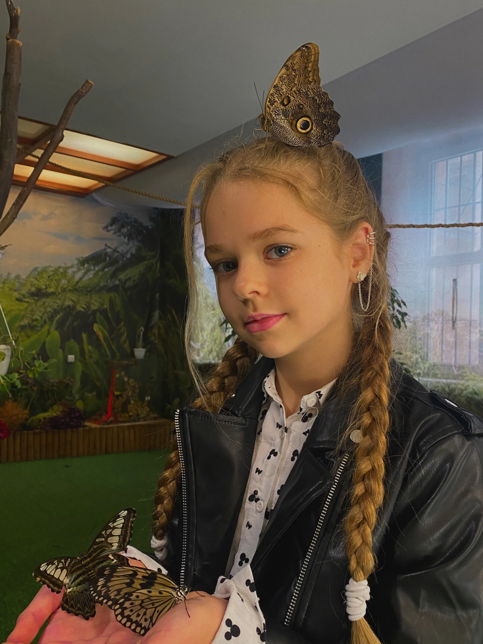Atrakce v centru Krakova pro celou rodinu: muzeum motýlů, labyrinty, 7D kino, dětská herna i virtuální realita