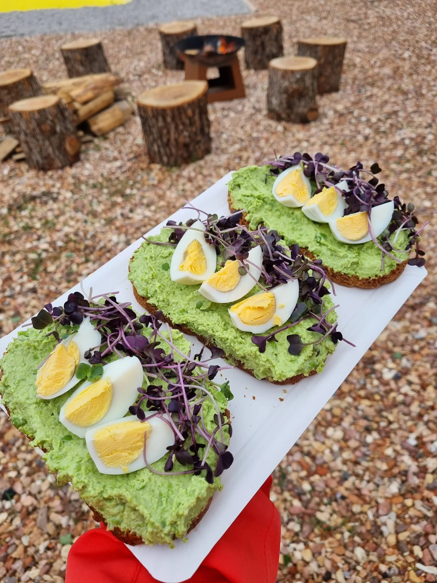 VIP prohlídka i zážitek na den ošetřovatelem ve Farmaparku Dobřany