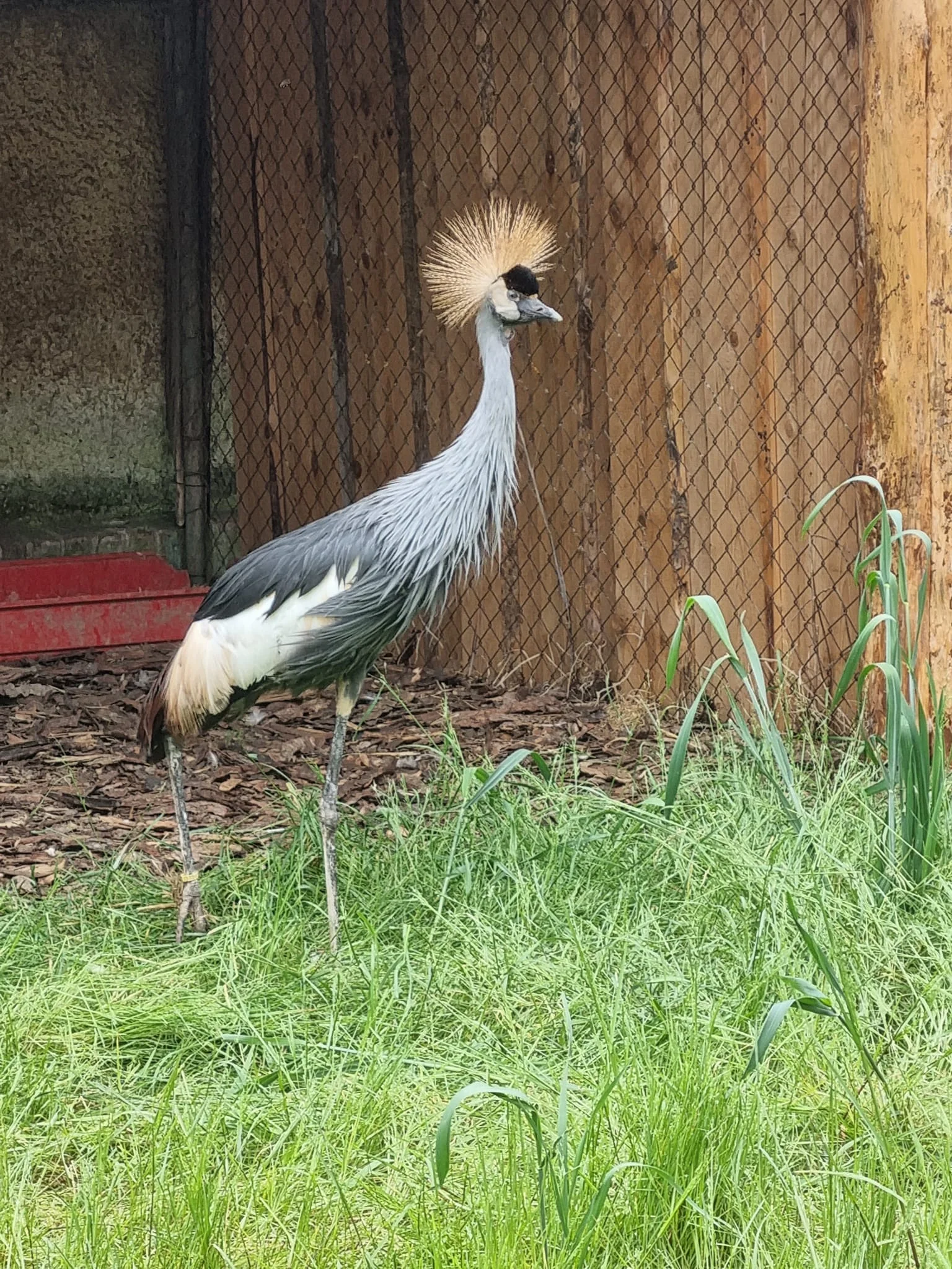 VIP prohlídka i zážitek na den ošetřovatelem ve Farmaparku Dobřany