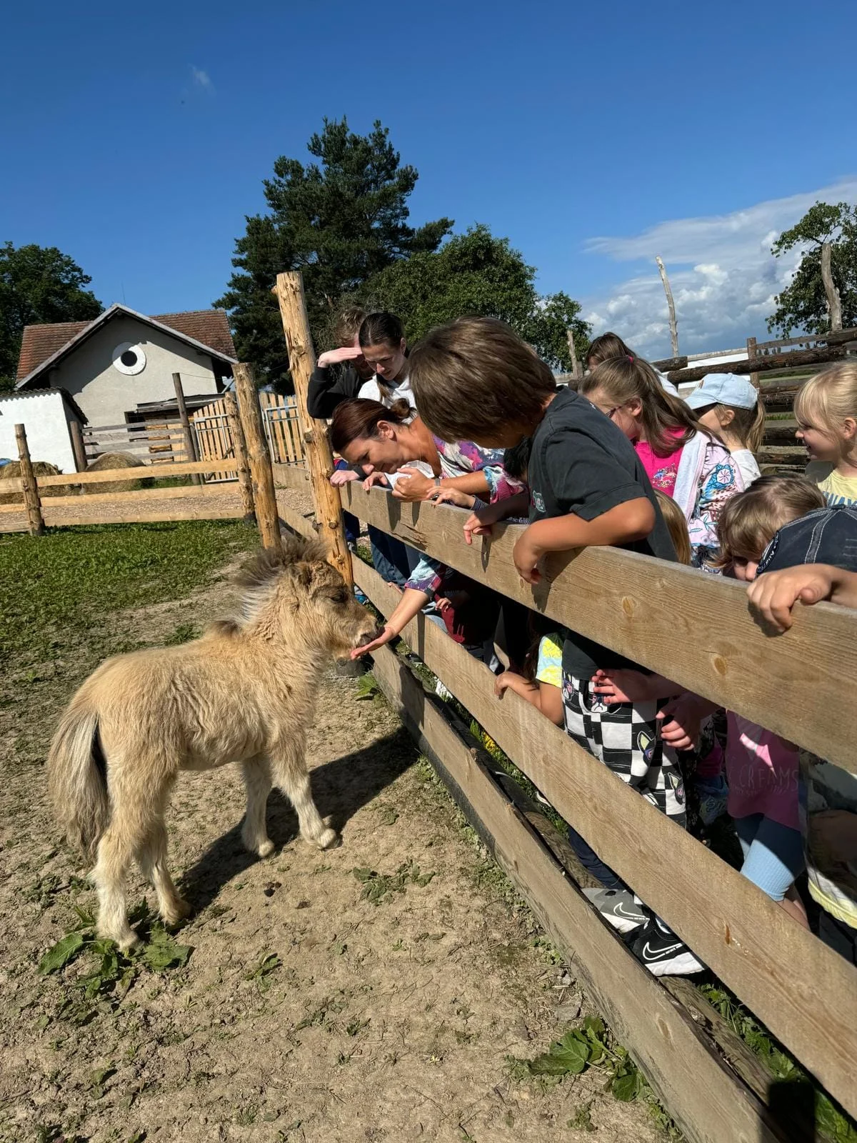 VIP prohlídka i zážitek na den ošetřovatelem ve Farmaparku Dobřany