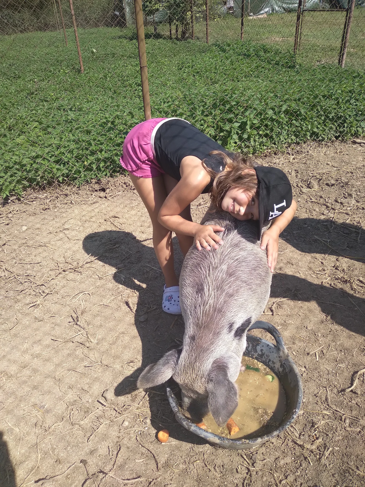 VIP prohlídka i zážitek na den ošetřovatelem ve Farmaparku Dobřany