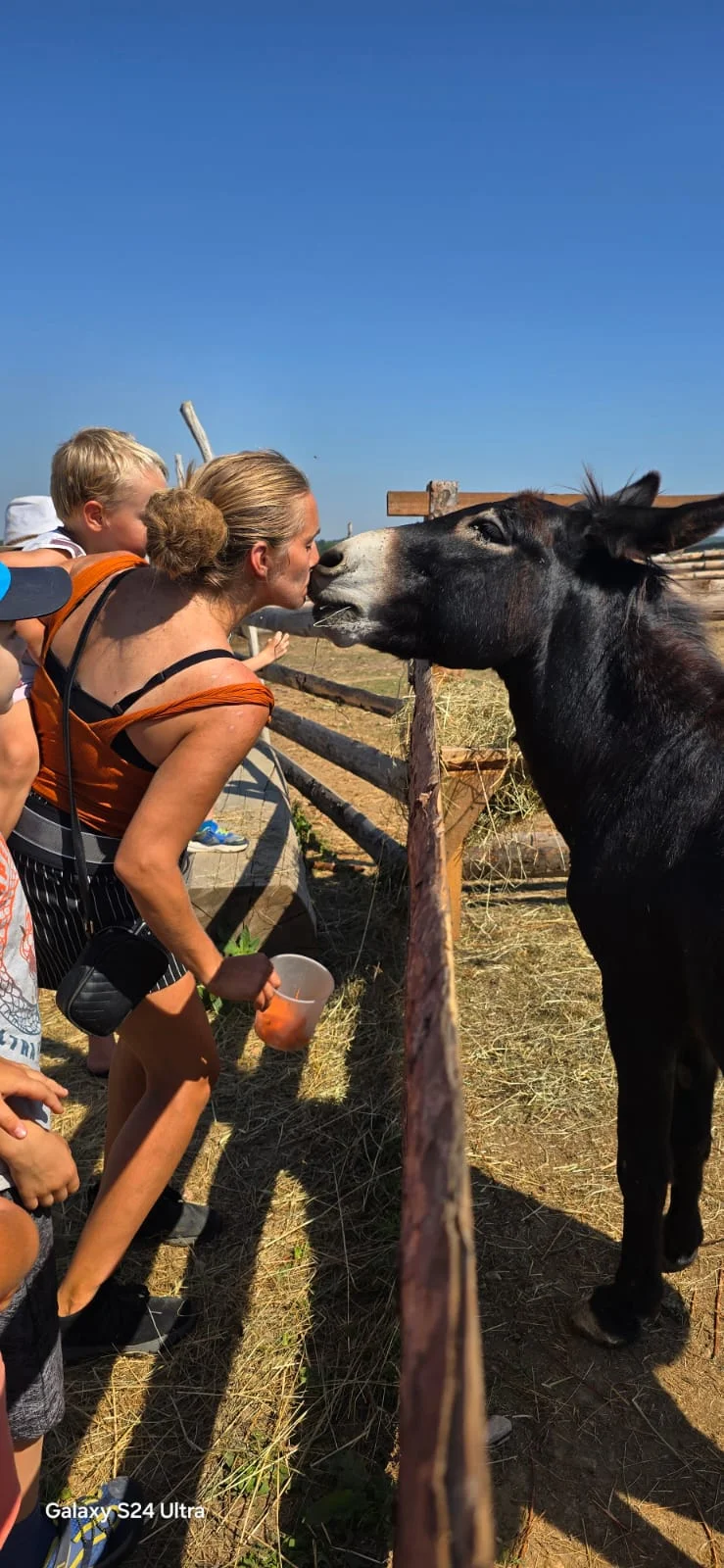 VIP prohlídka i zážitek na den ošetřovatelem ve Farmaparku Dobřany