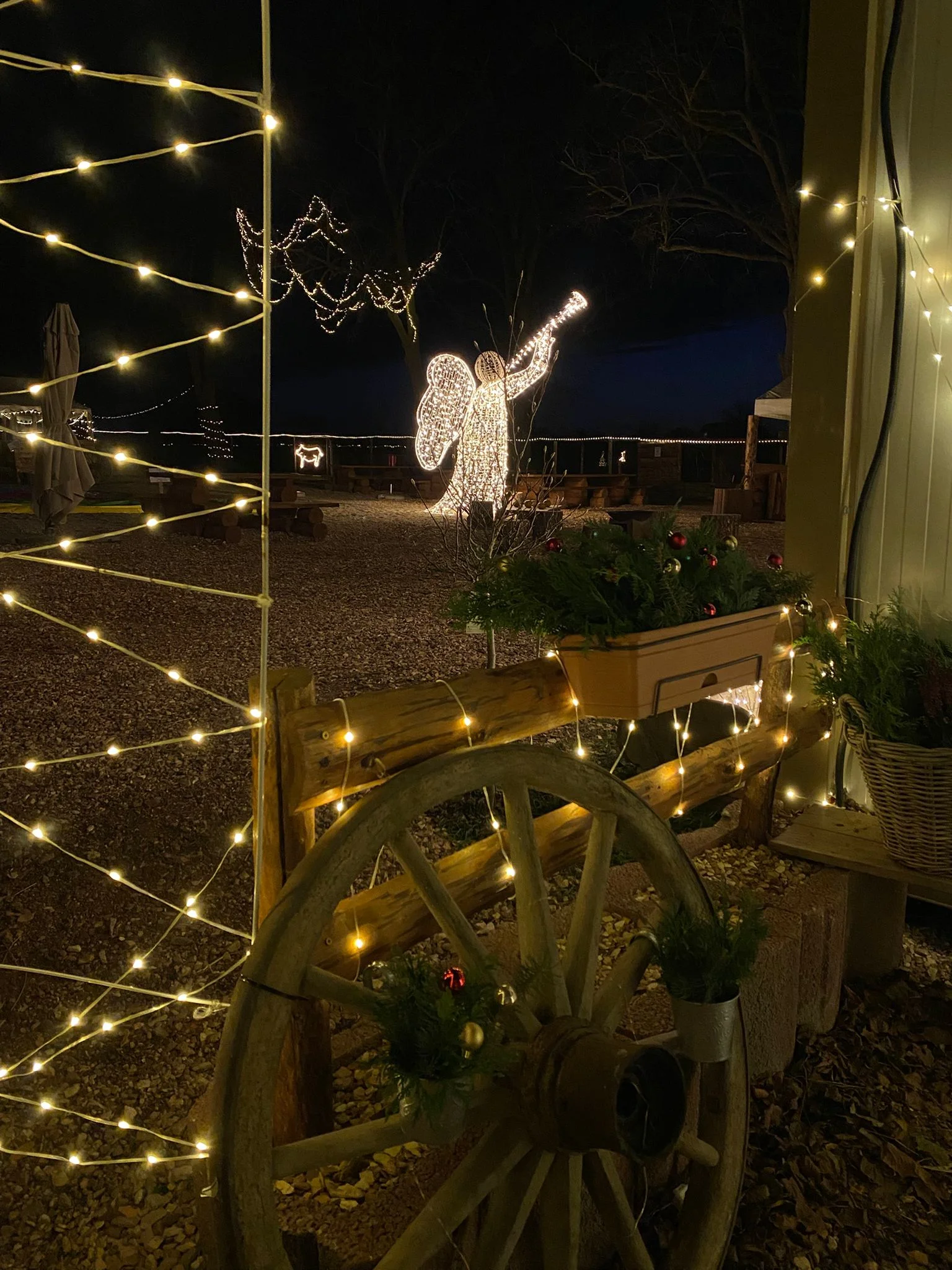 VIP prohlídka i zážitek na den ošetřovatelem ve Farmaparku Dobřany