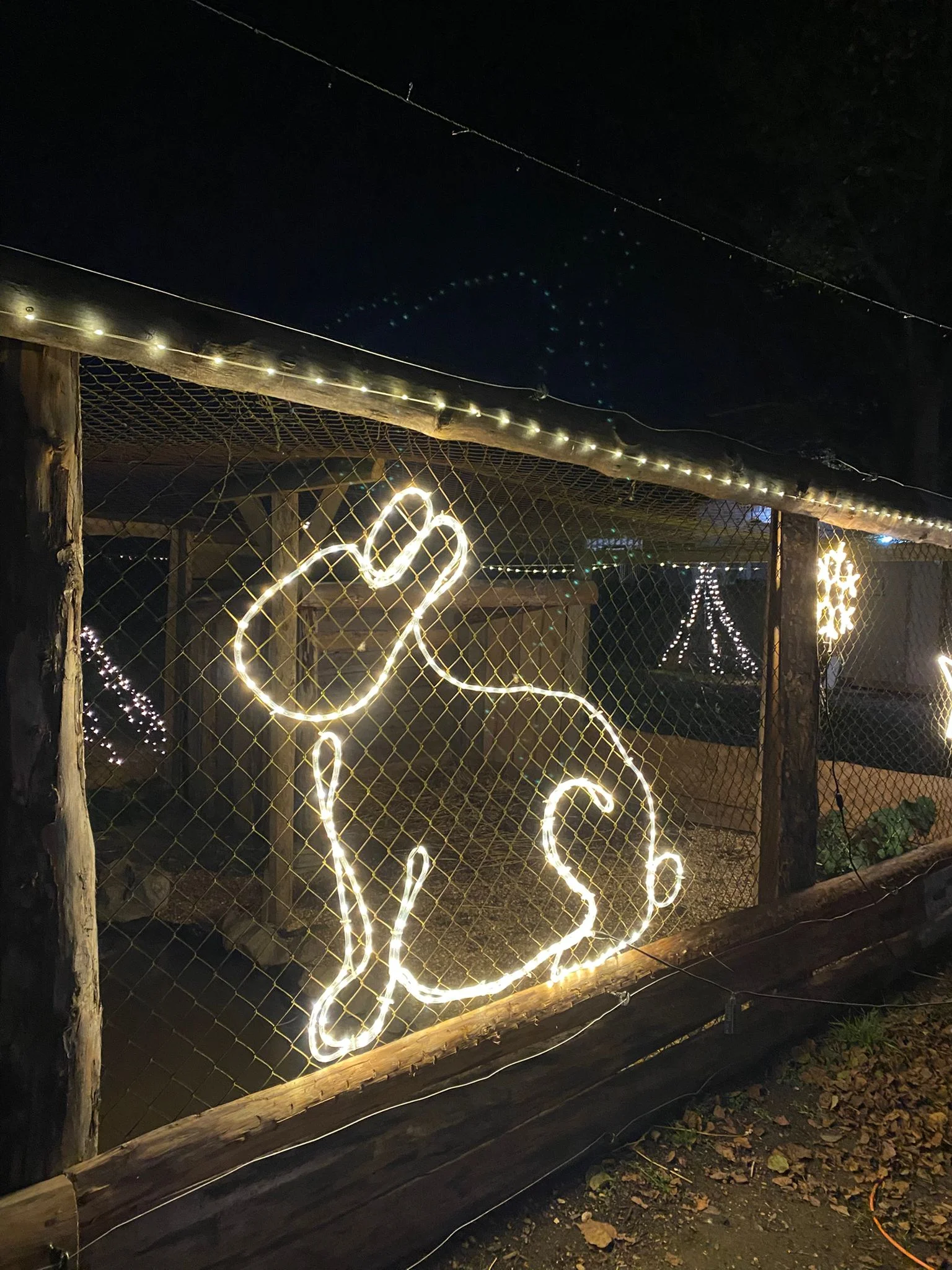 VIP prohlídka i zážitek na den ošetřovatelem ve Farmaparku Dobřany