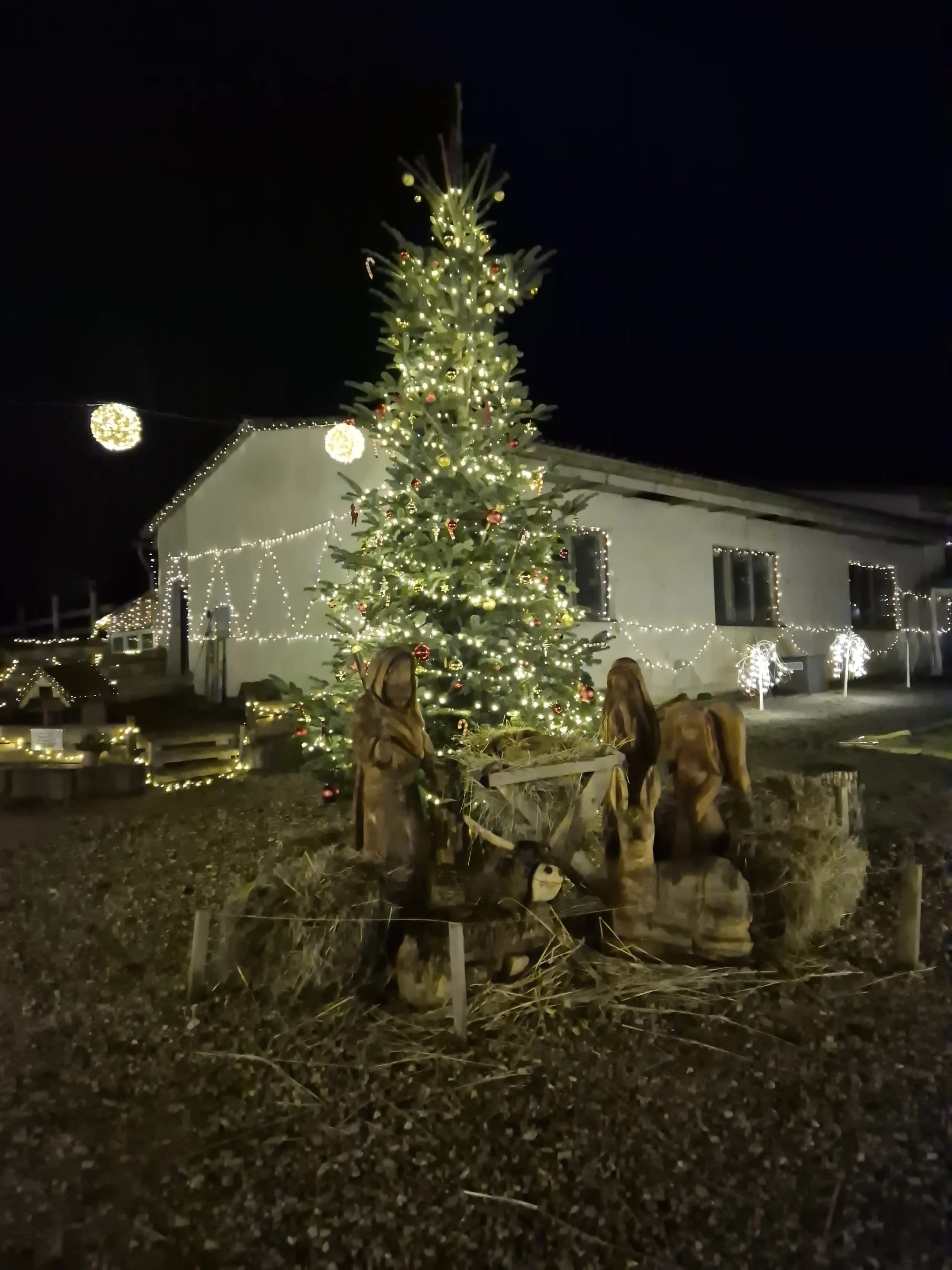 VIP prohlídka i zážitek na den ošetřovatelem ve Farmaparku Dobřany