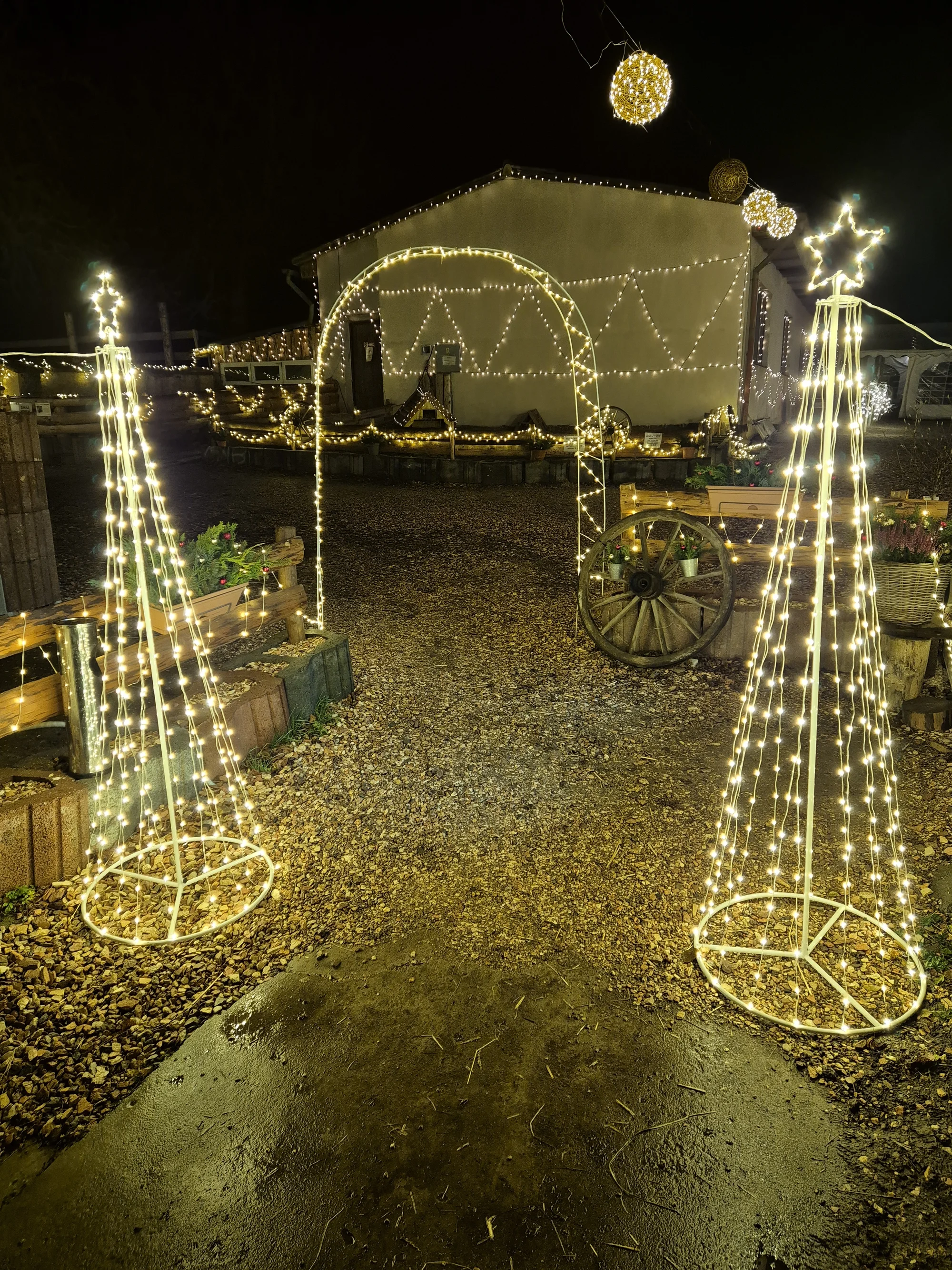 VIP prohlídka i zážitek na den ošetřovatelem ve Farmaparku Dobřany