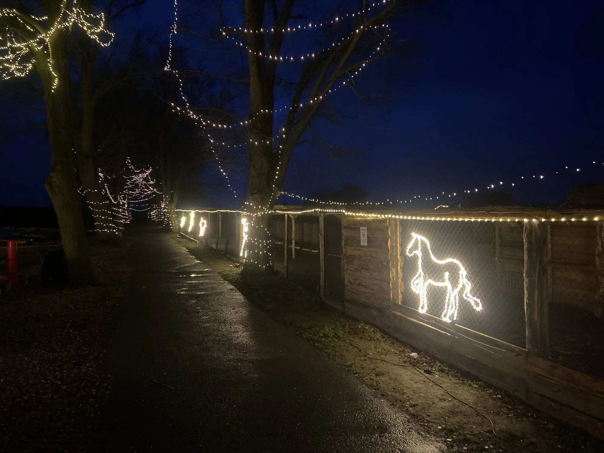 VIP prohlídka i zážitek na den ošetřovatelem ve Farmaparku Dobřany