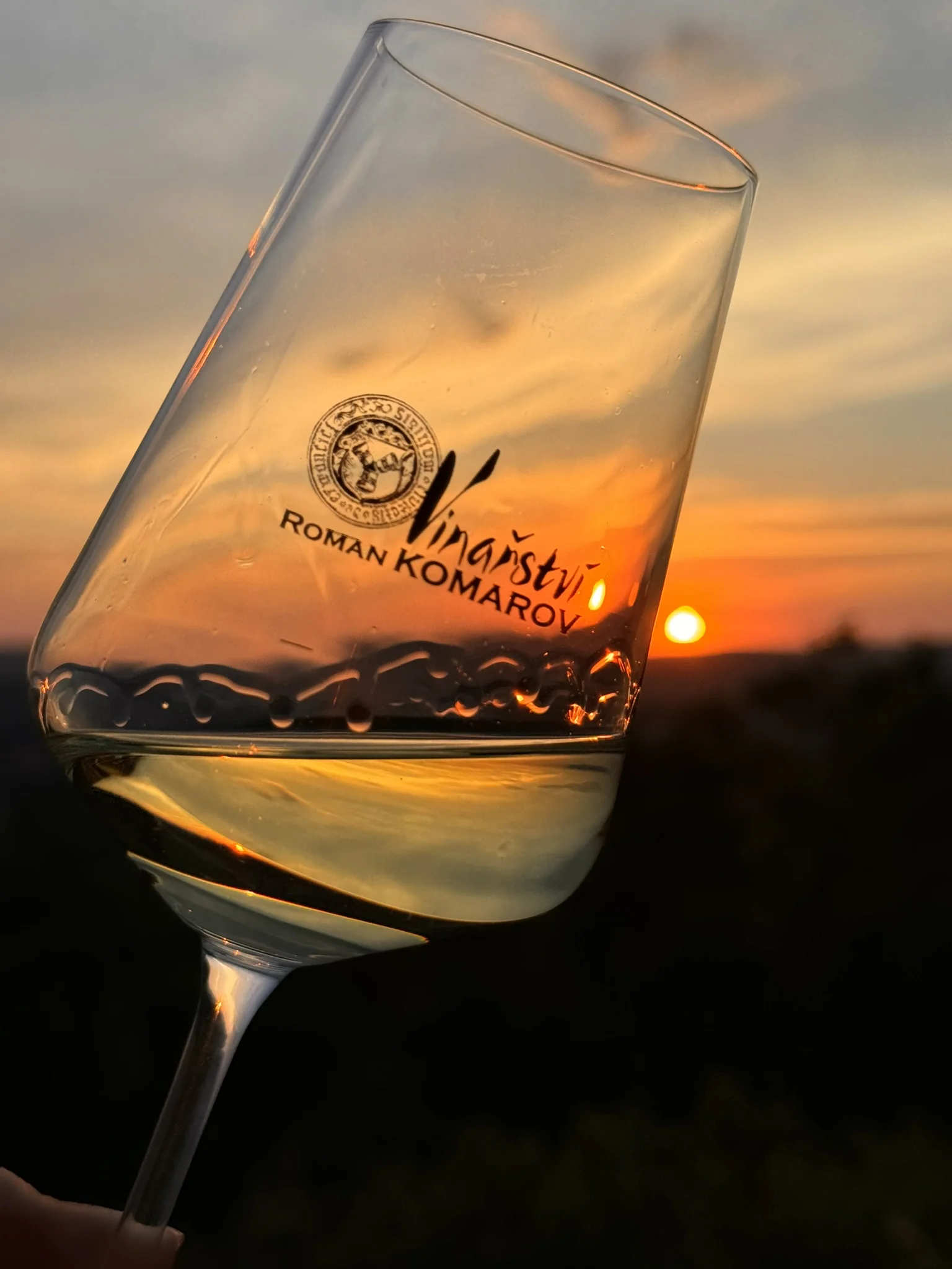 Degustace vín a romantický piknik ve vinici na jižní Moravě pro 2 osoby