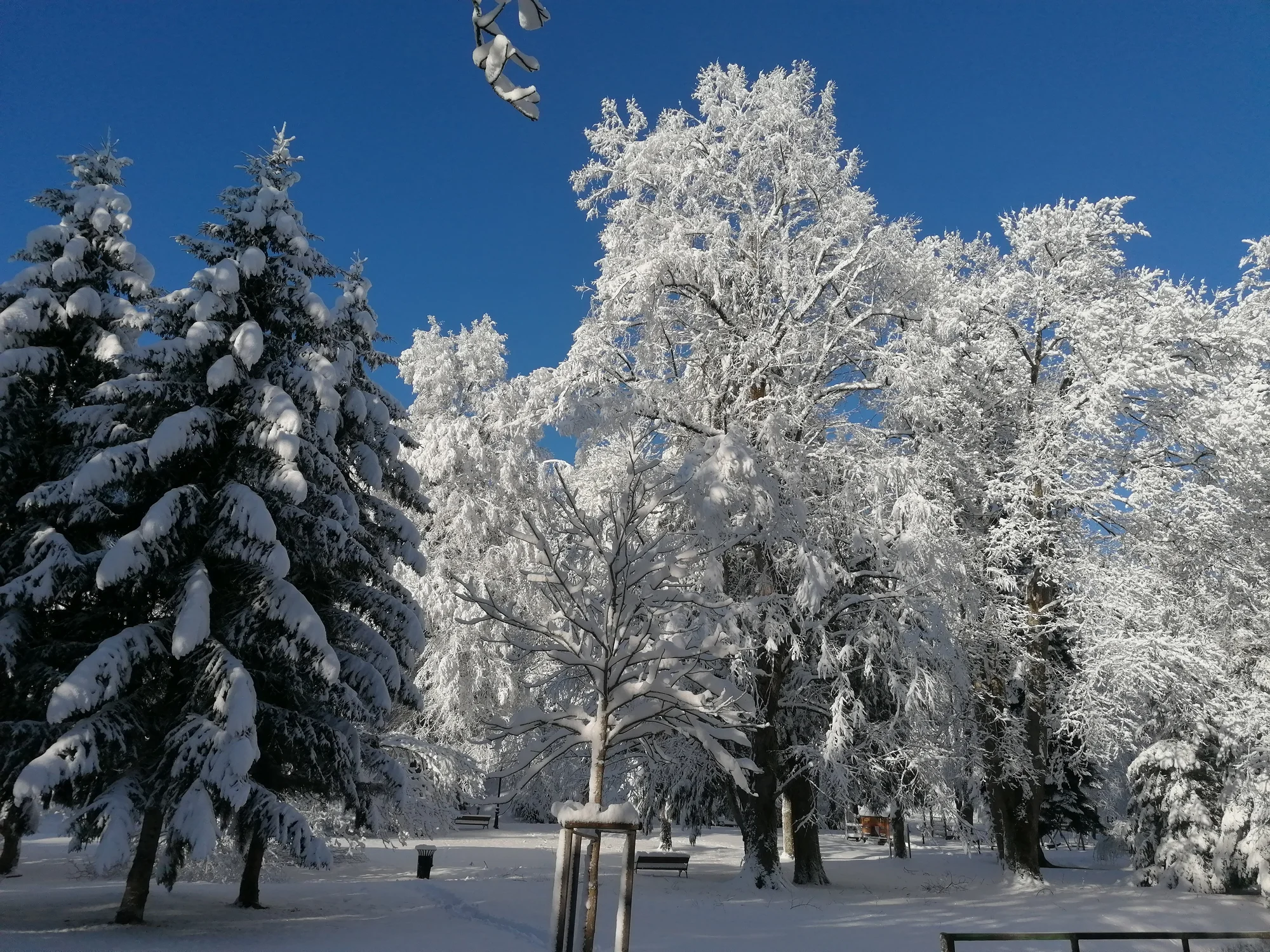 Odpočinek ve slovinském lázeňském městě Dobrna: polopenze a wellness