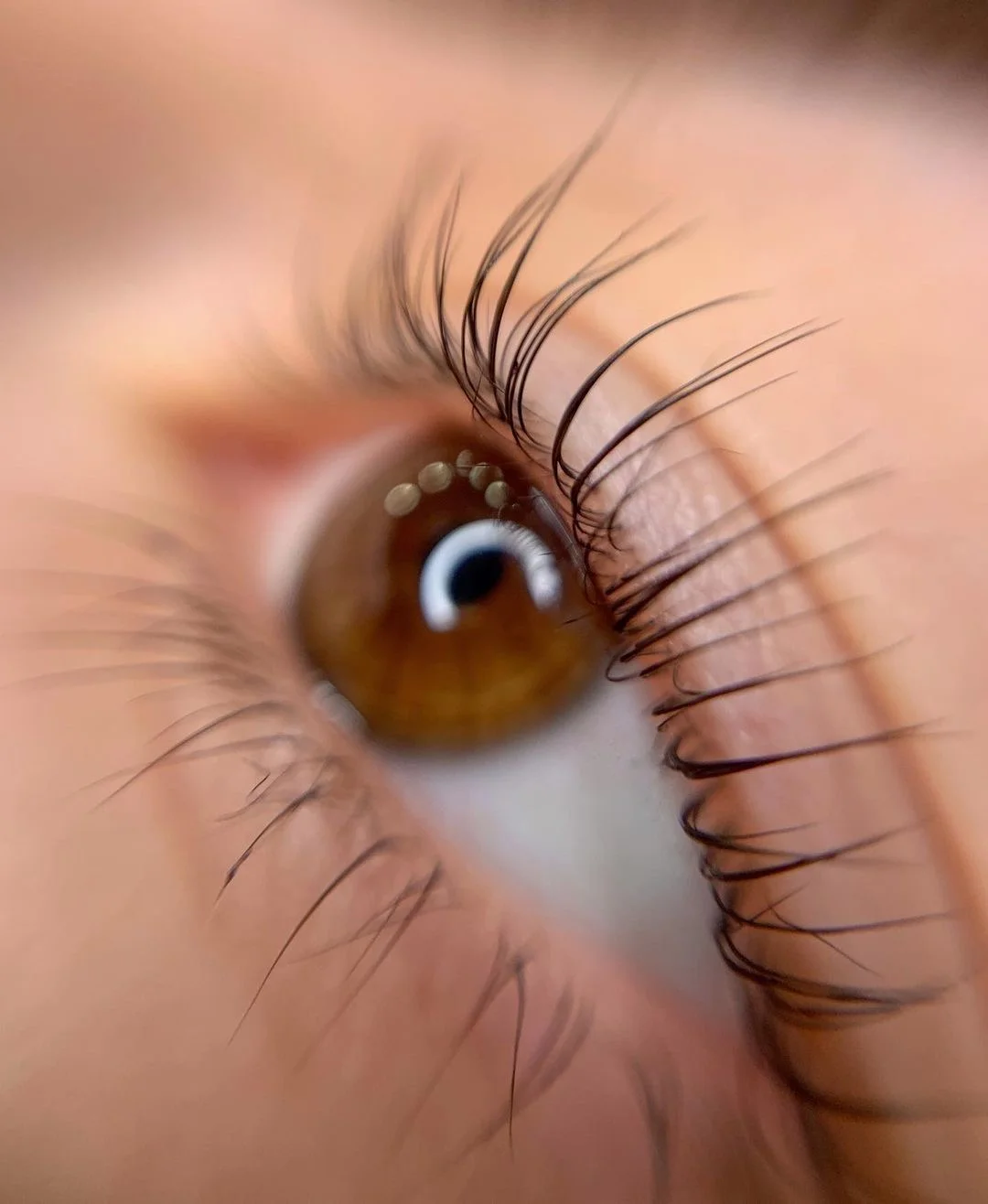 Smyslné řasy a obočí: lash lifting či laminace obočí i včetně barvení