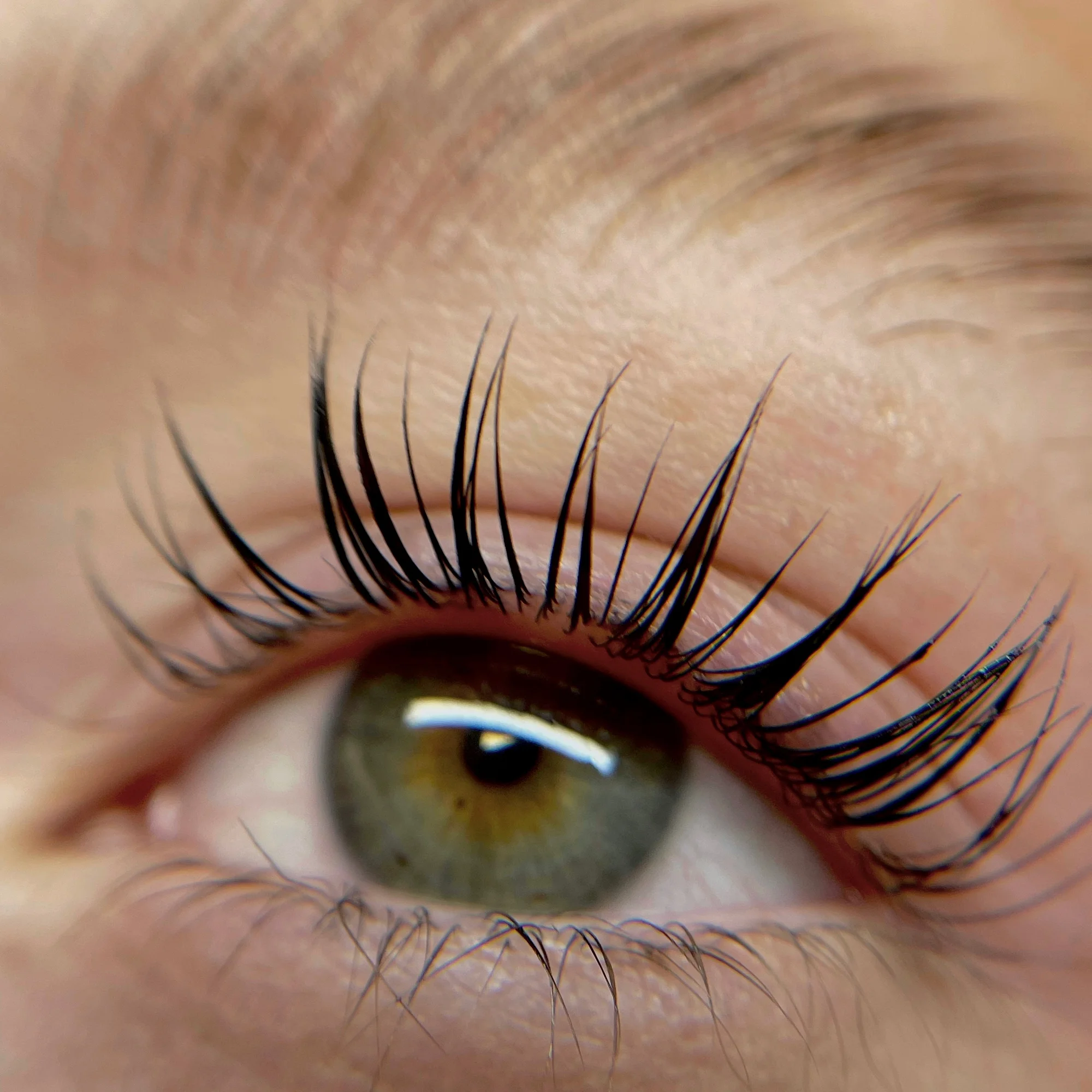 Smyslné řasy a obočí: lash lifting či laminace obočí i včetně barvení